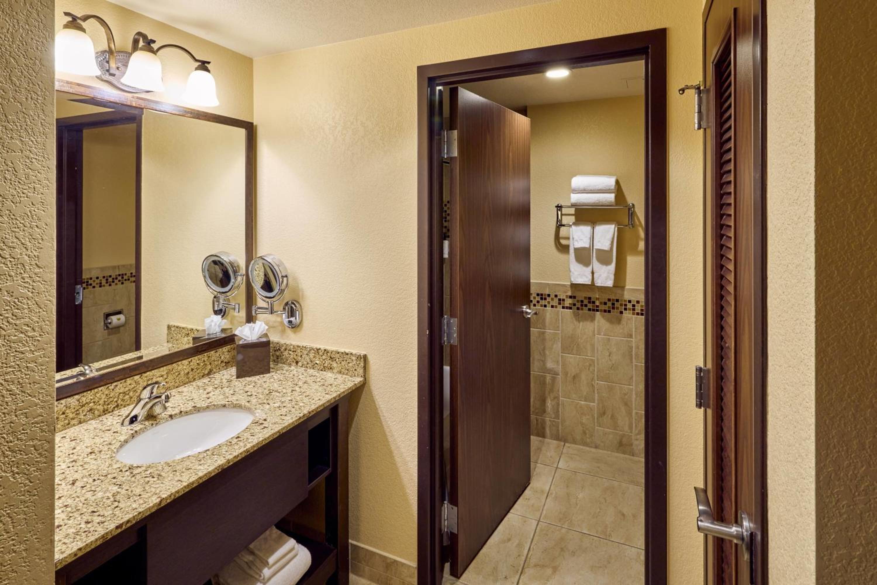 Deluxe King Suite photo 2