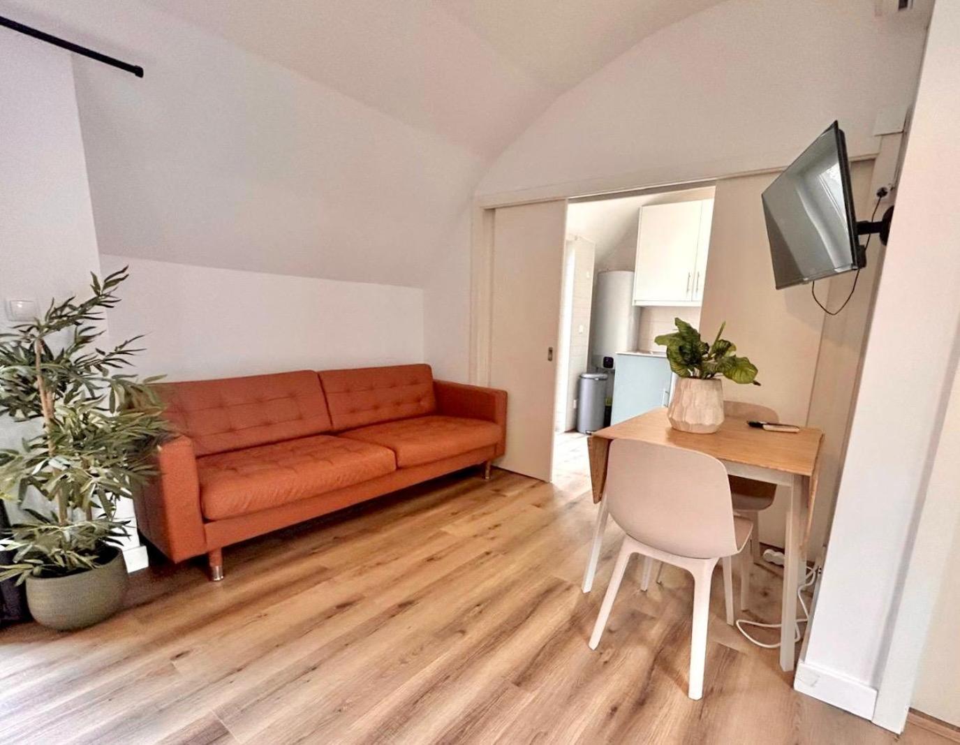 Apartment with Terrace photo 3