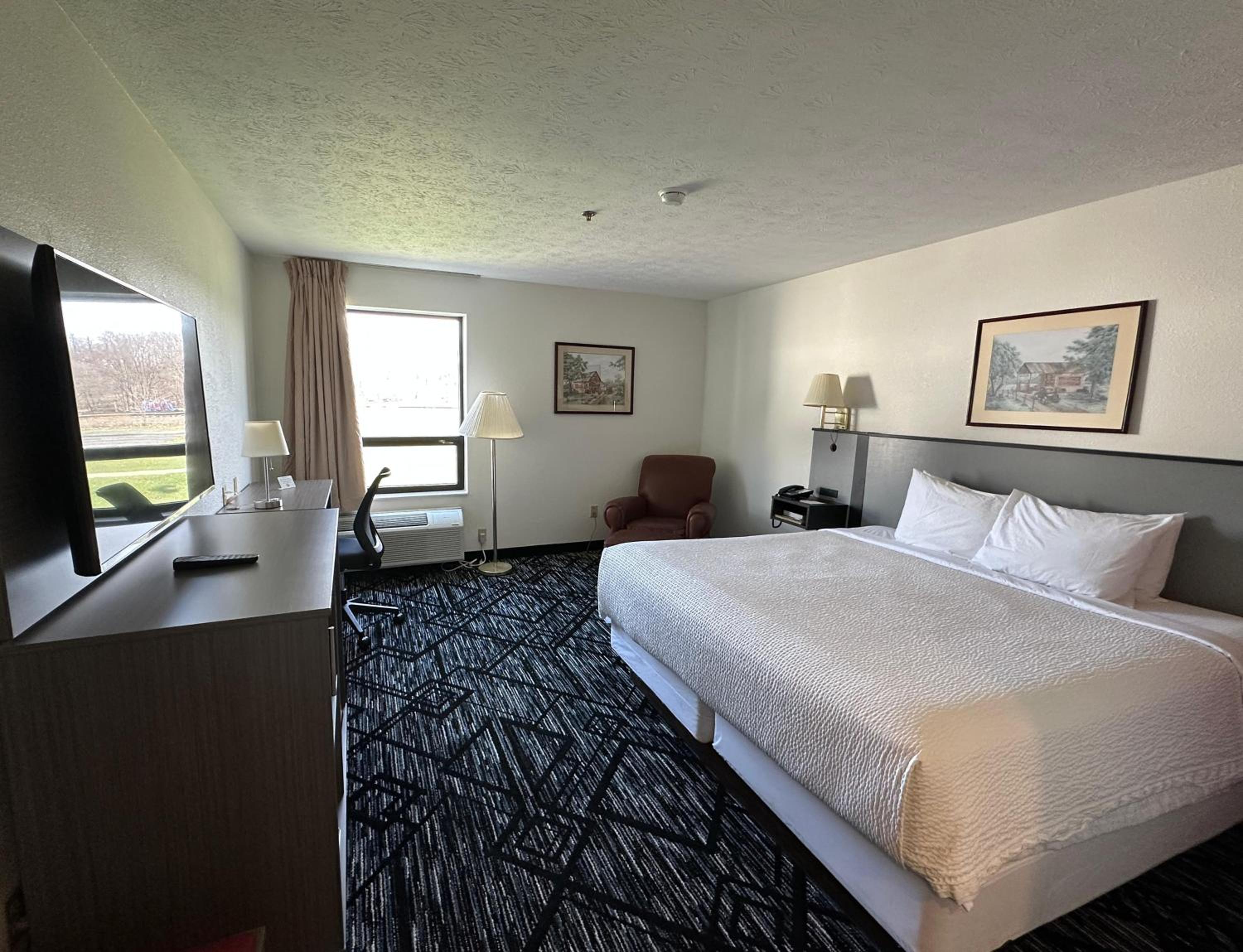Deluxe King Suite - Photo 1