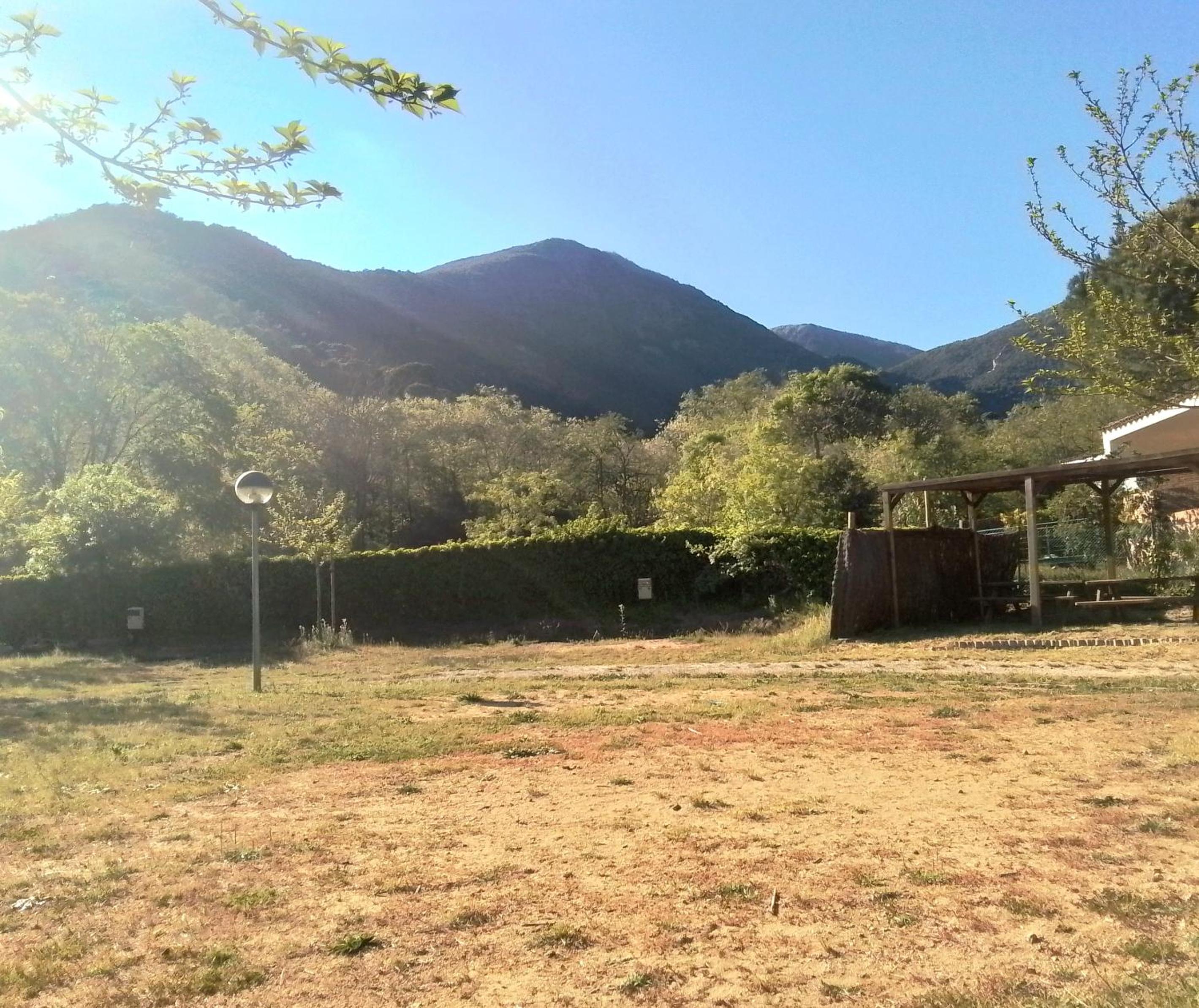 Empty lot without tent or caravan photo 1
