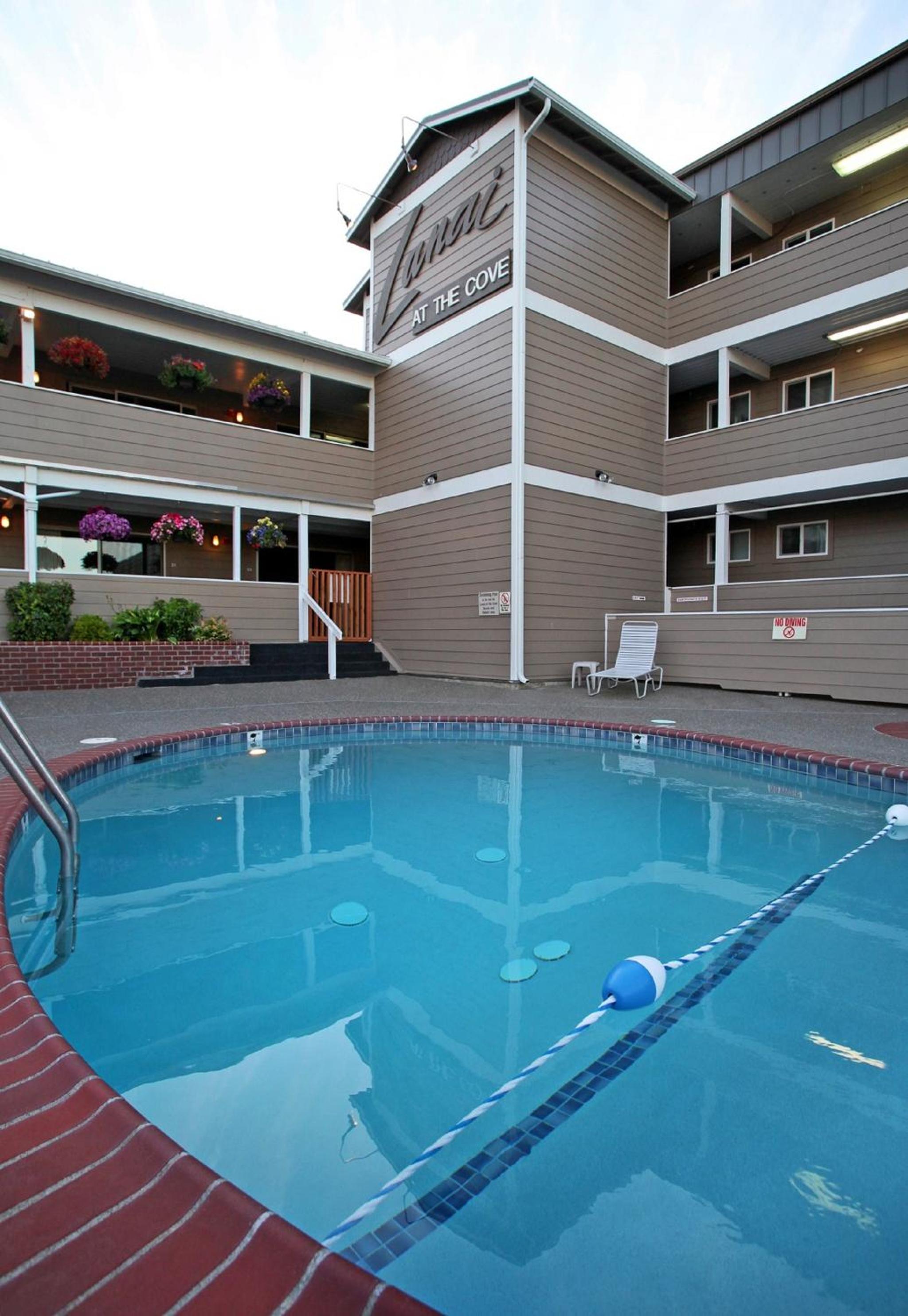 Queen Studio - Poolside - Pet Friendly - No View photo 2