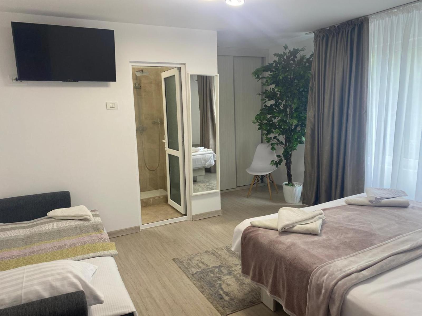 Triple Room with Bathroom