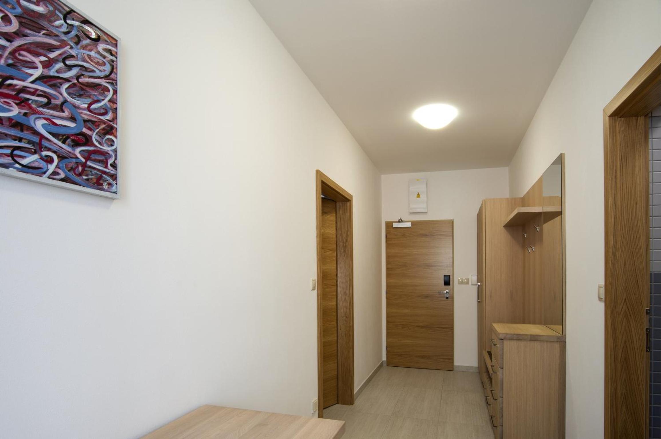 Deluxe Apartment - Photo 4