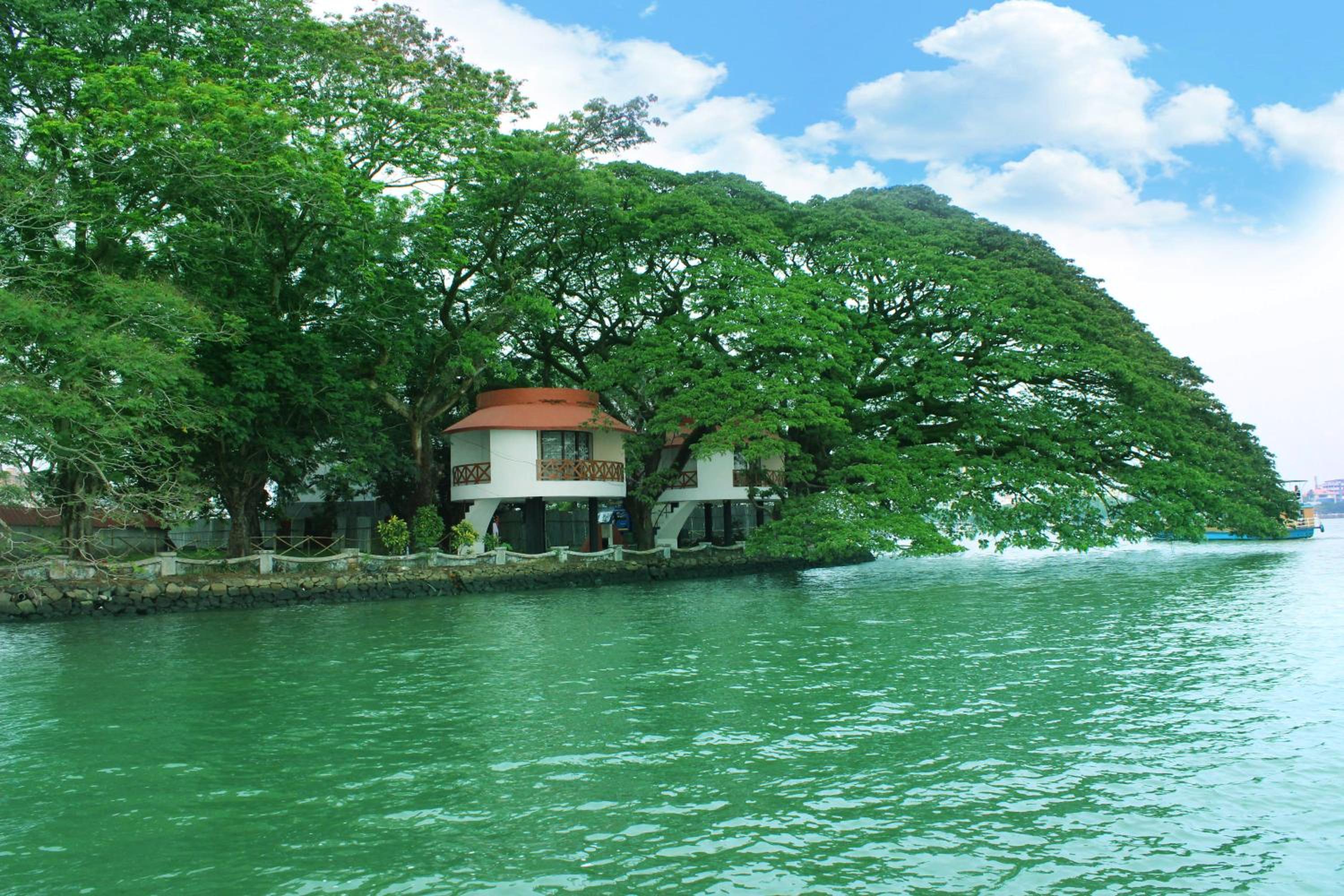 Double Room With Lake View photo 1