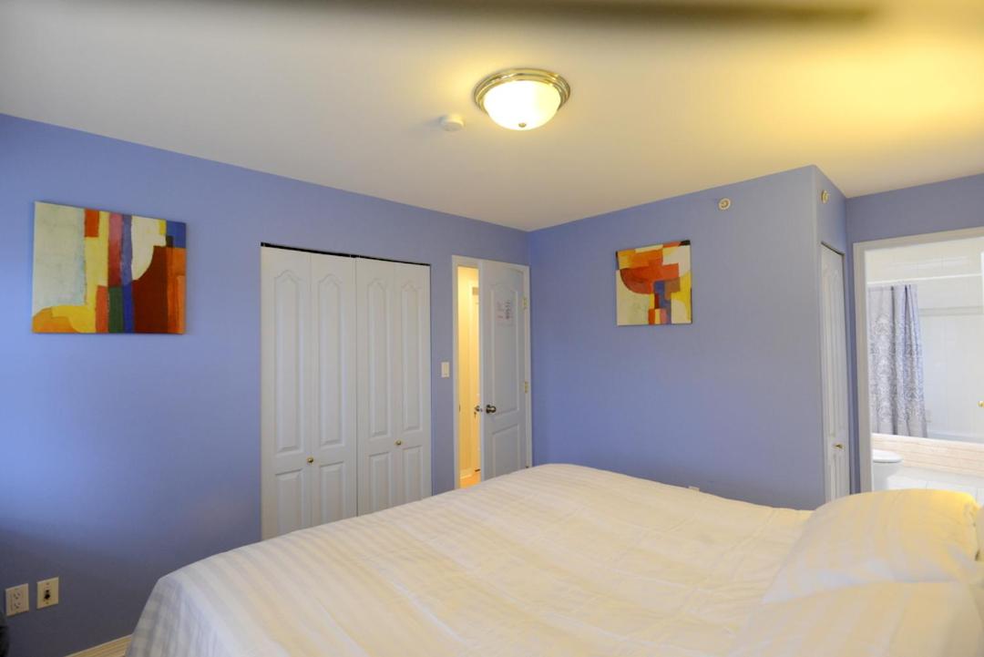 Deluxe King Room photo 1