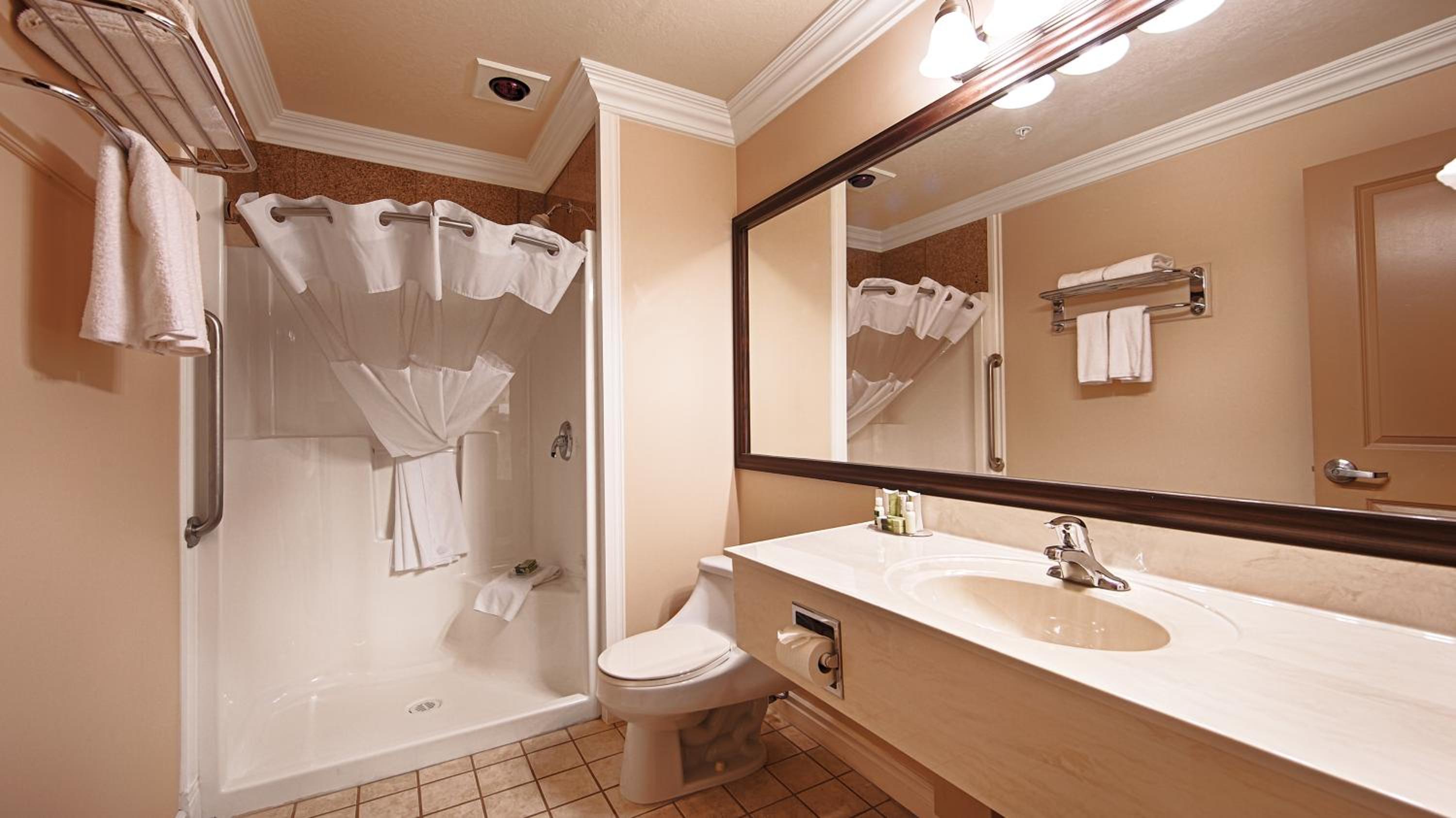 King Suite - Non-Smoking - Photo 4