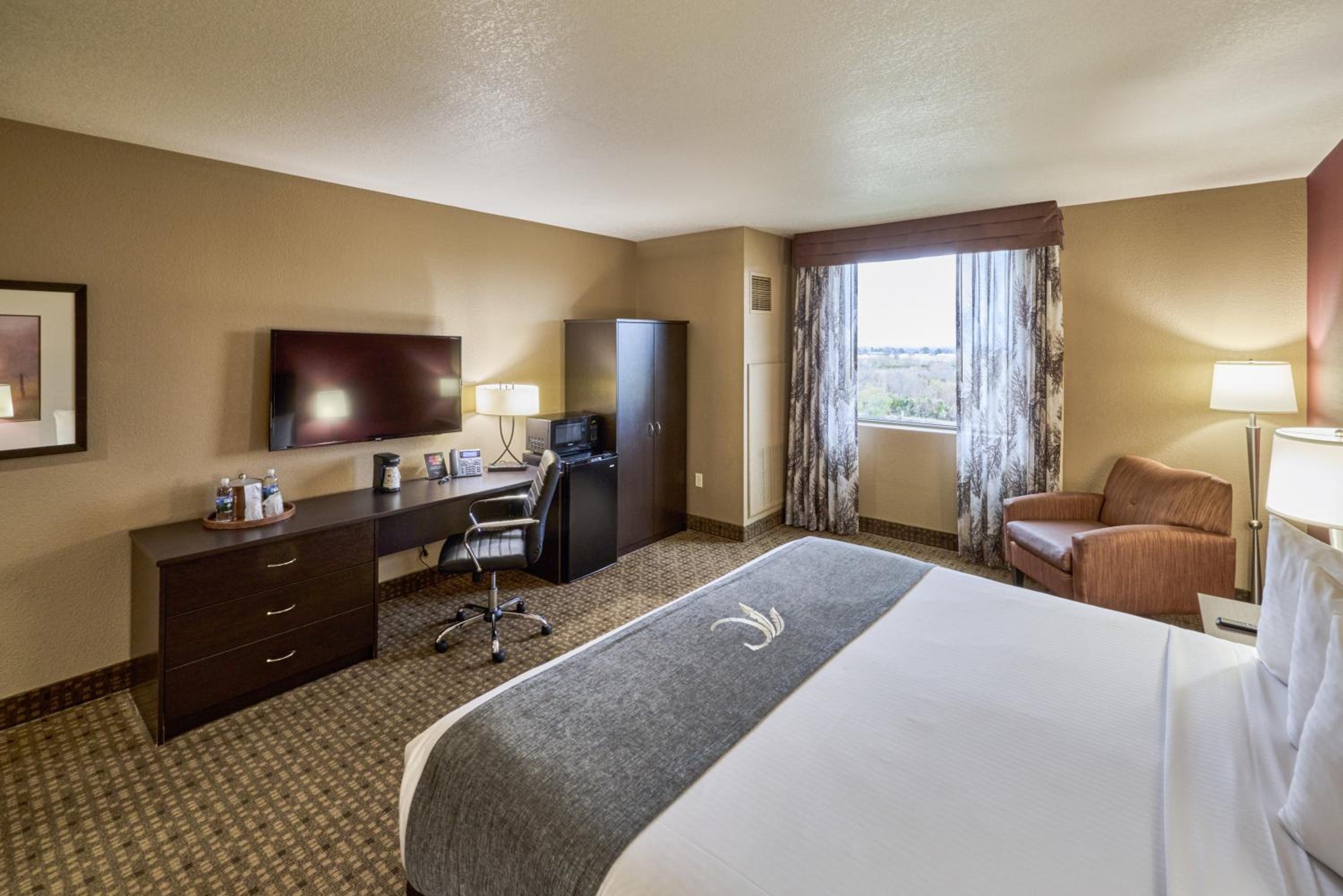 Deluxe King Suite photo 3