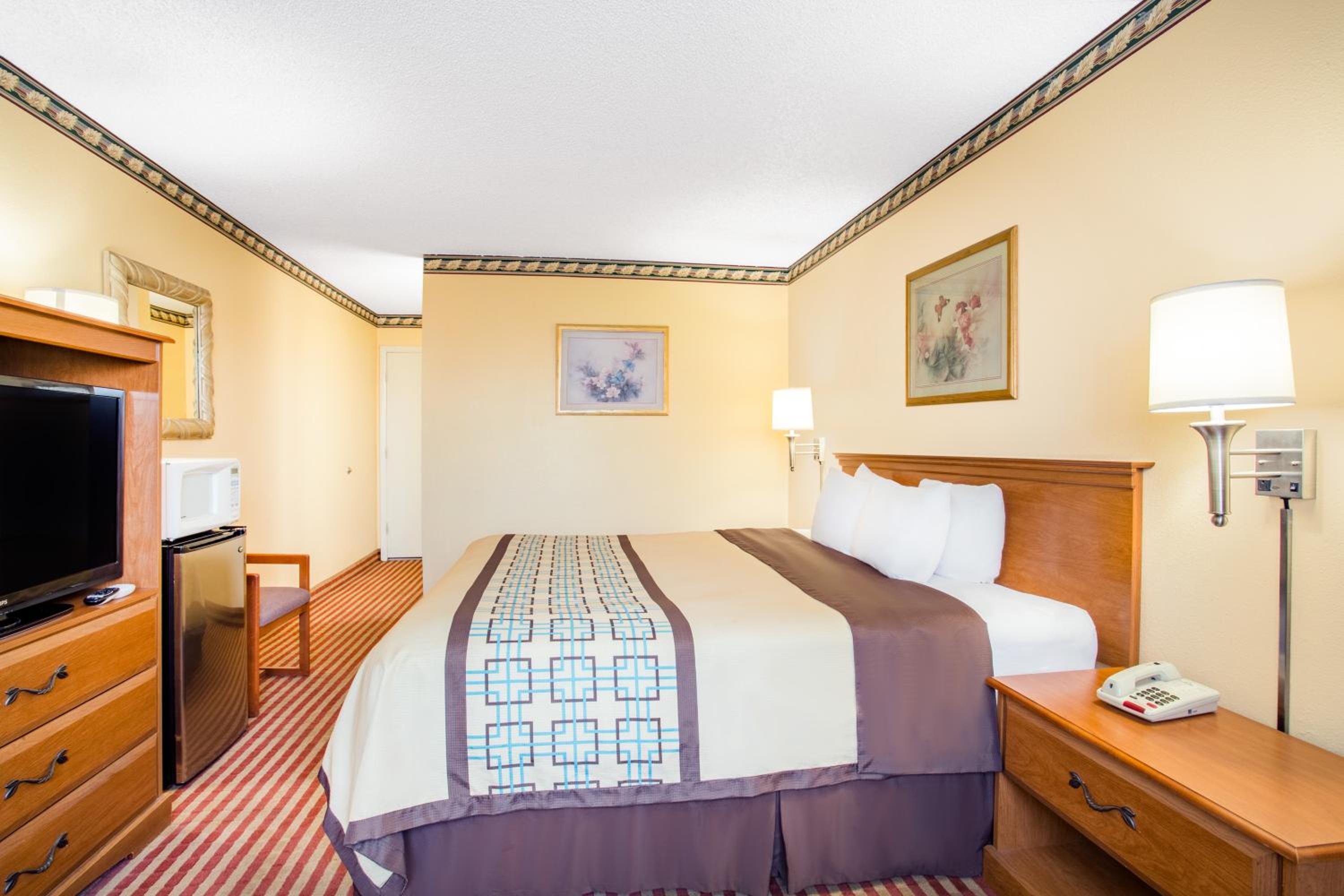 Deluxe King Suite - Photo 1