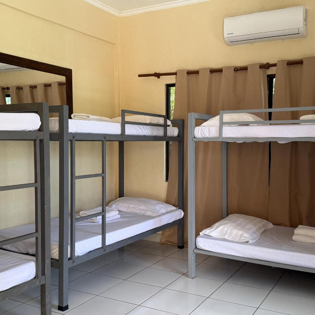 6-Bed Mixed Dormitory Room photo 3