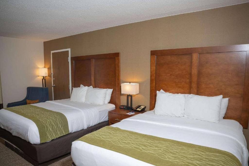 Room with One King Bed and One Queen Bed - Non-Smoking - Photo 1