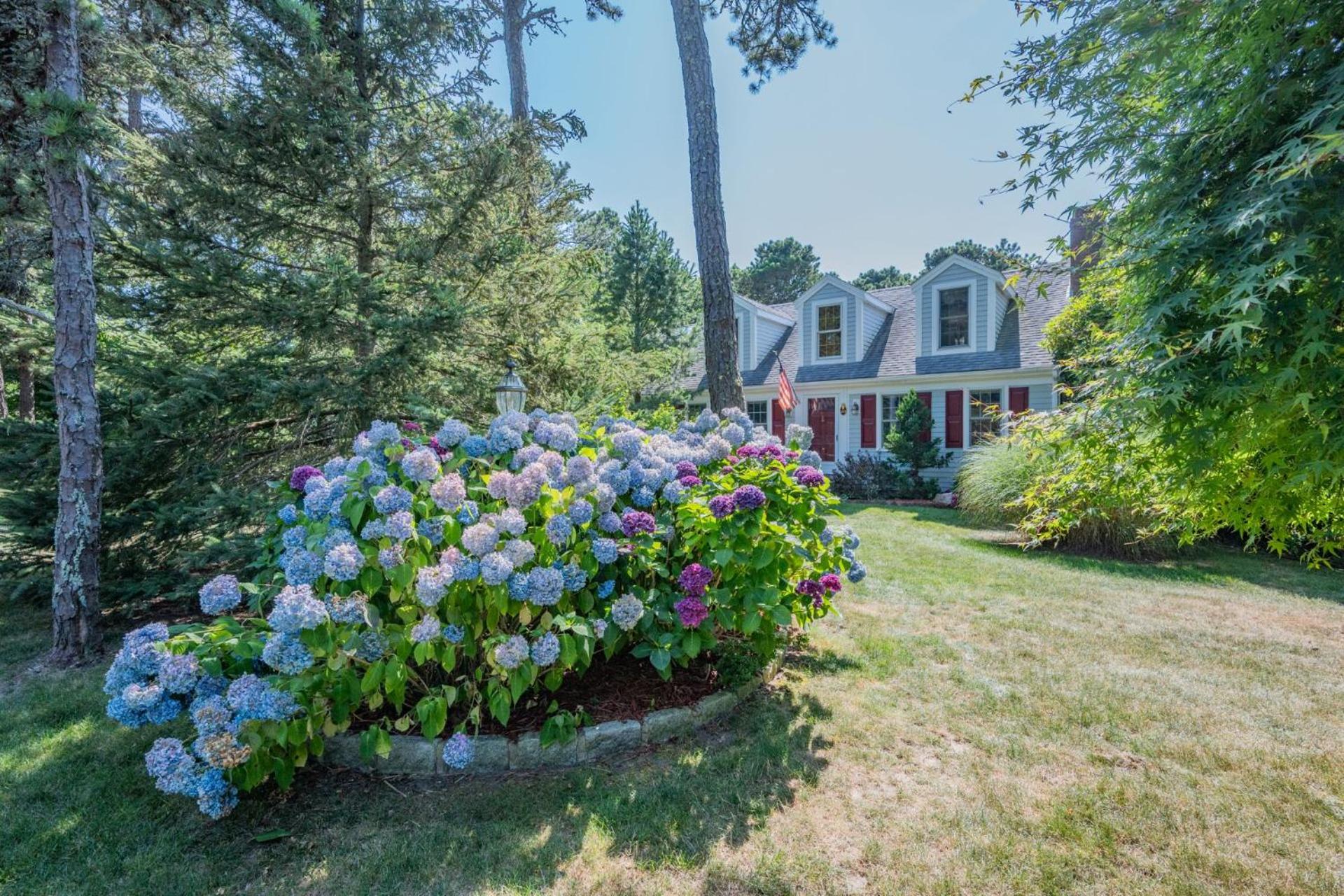 Vacation Home photo 1