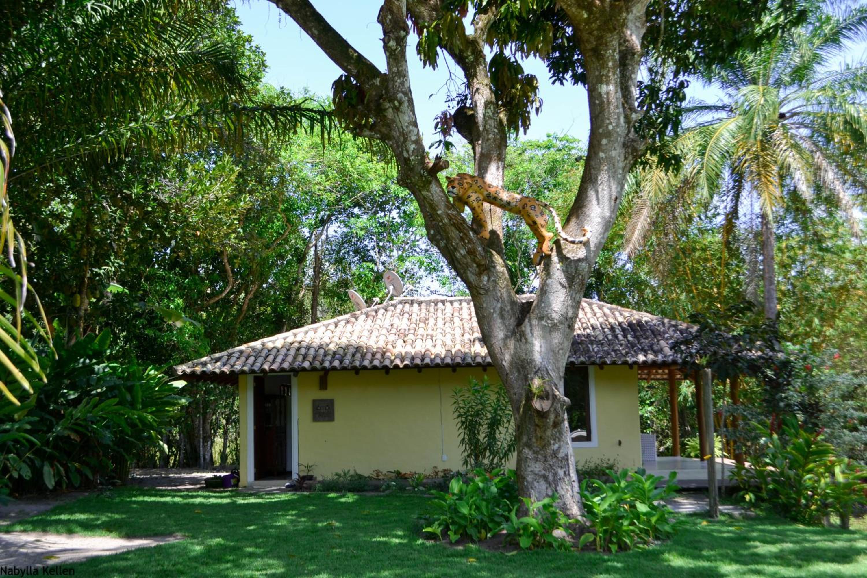 Two-Bedroom Villa photo 3