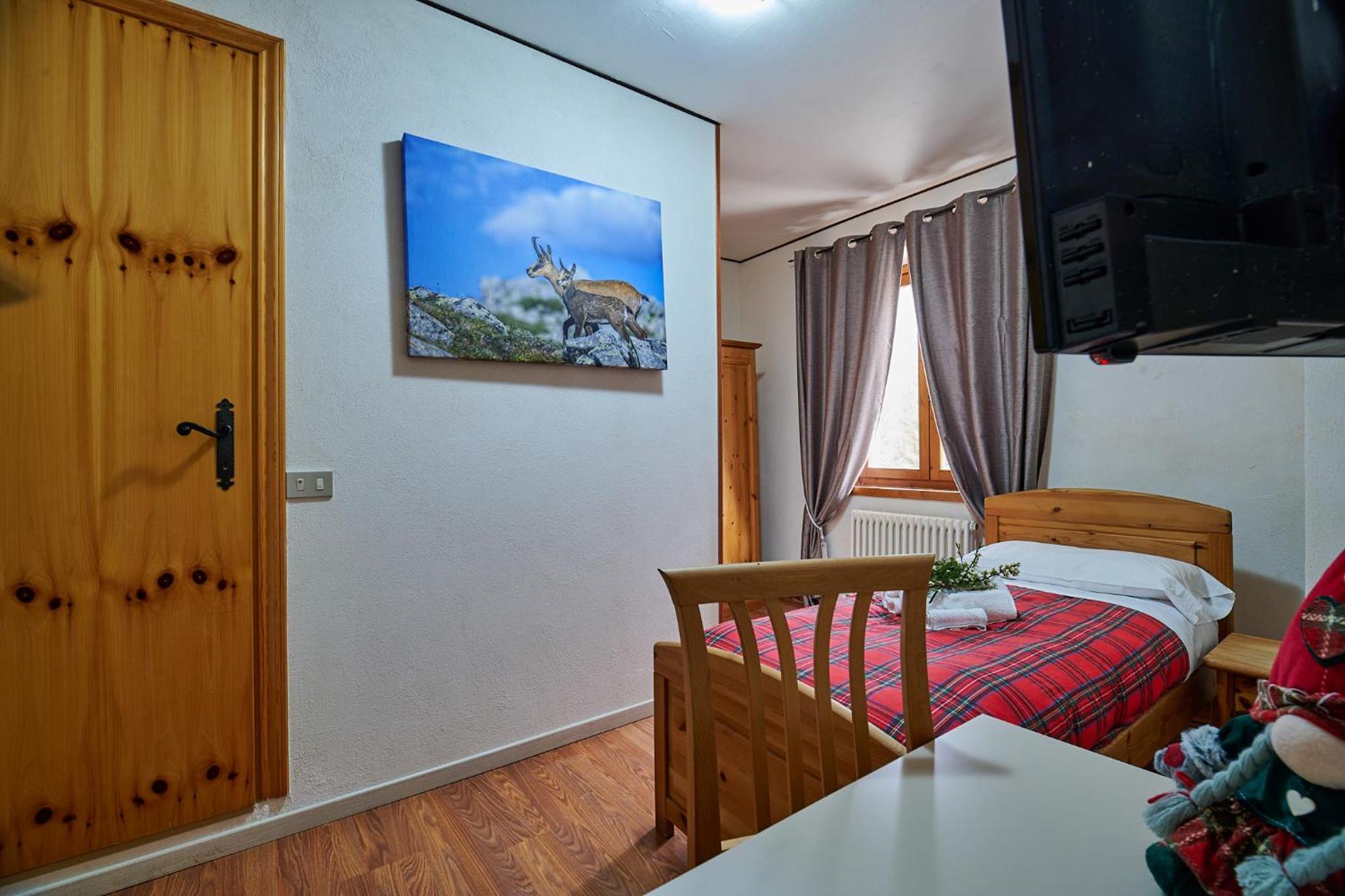 Single Room photo 1