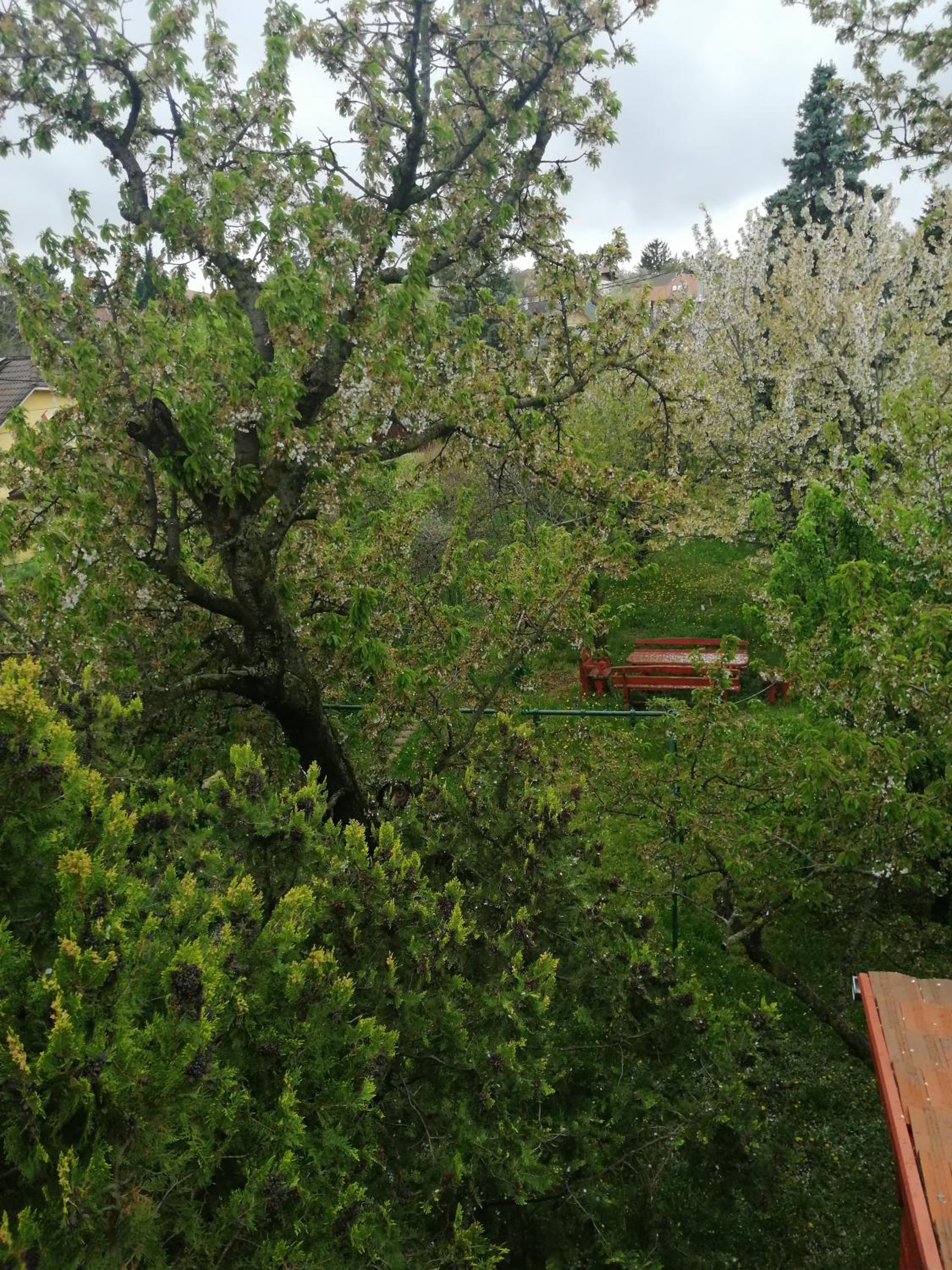Single Room with Garden View photo 1