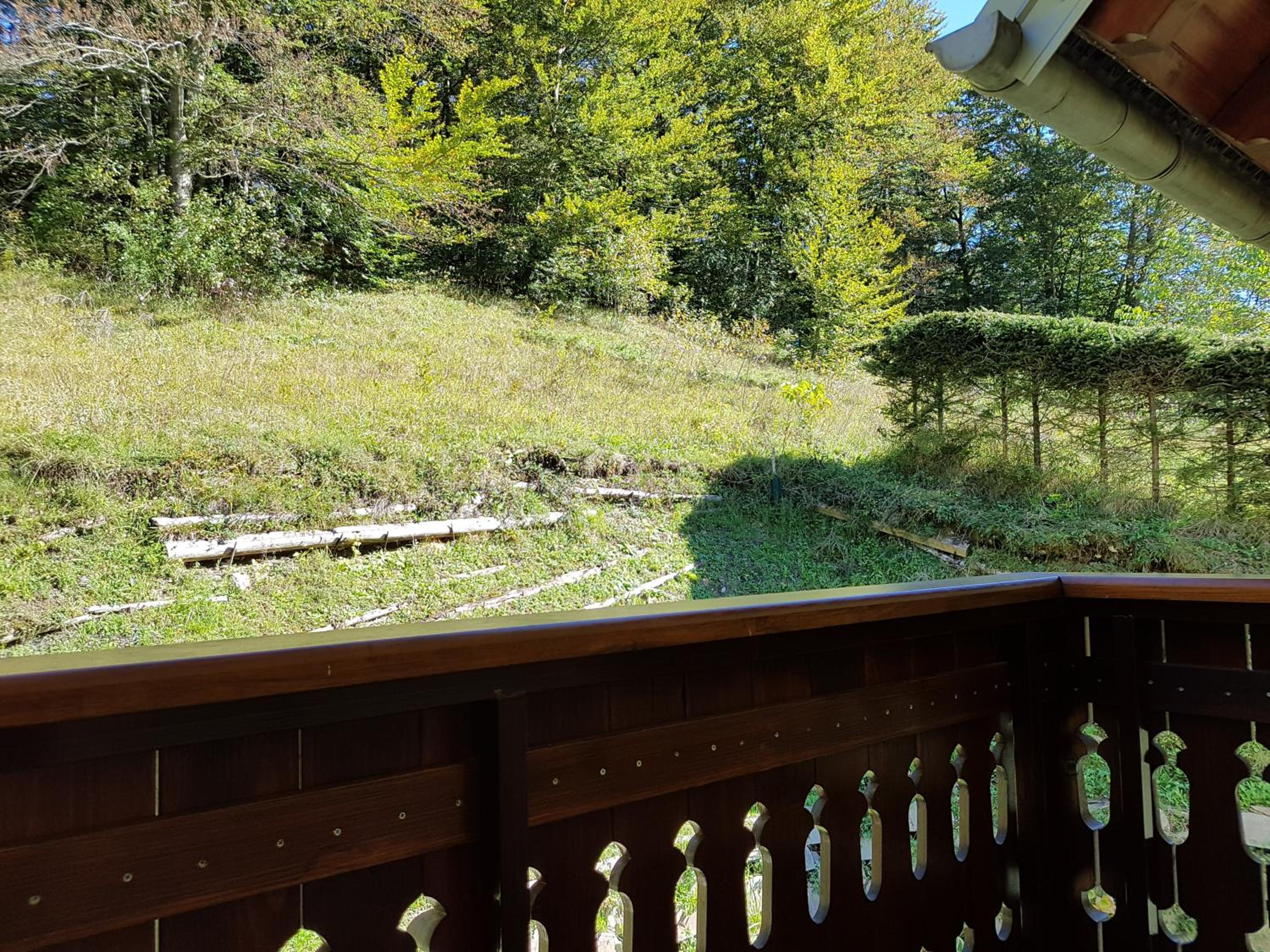Double Room with Balcony and Forest View - Photo 6