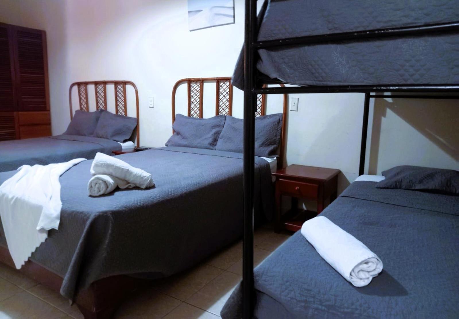 Triple Room photo 3