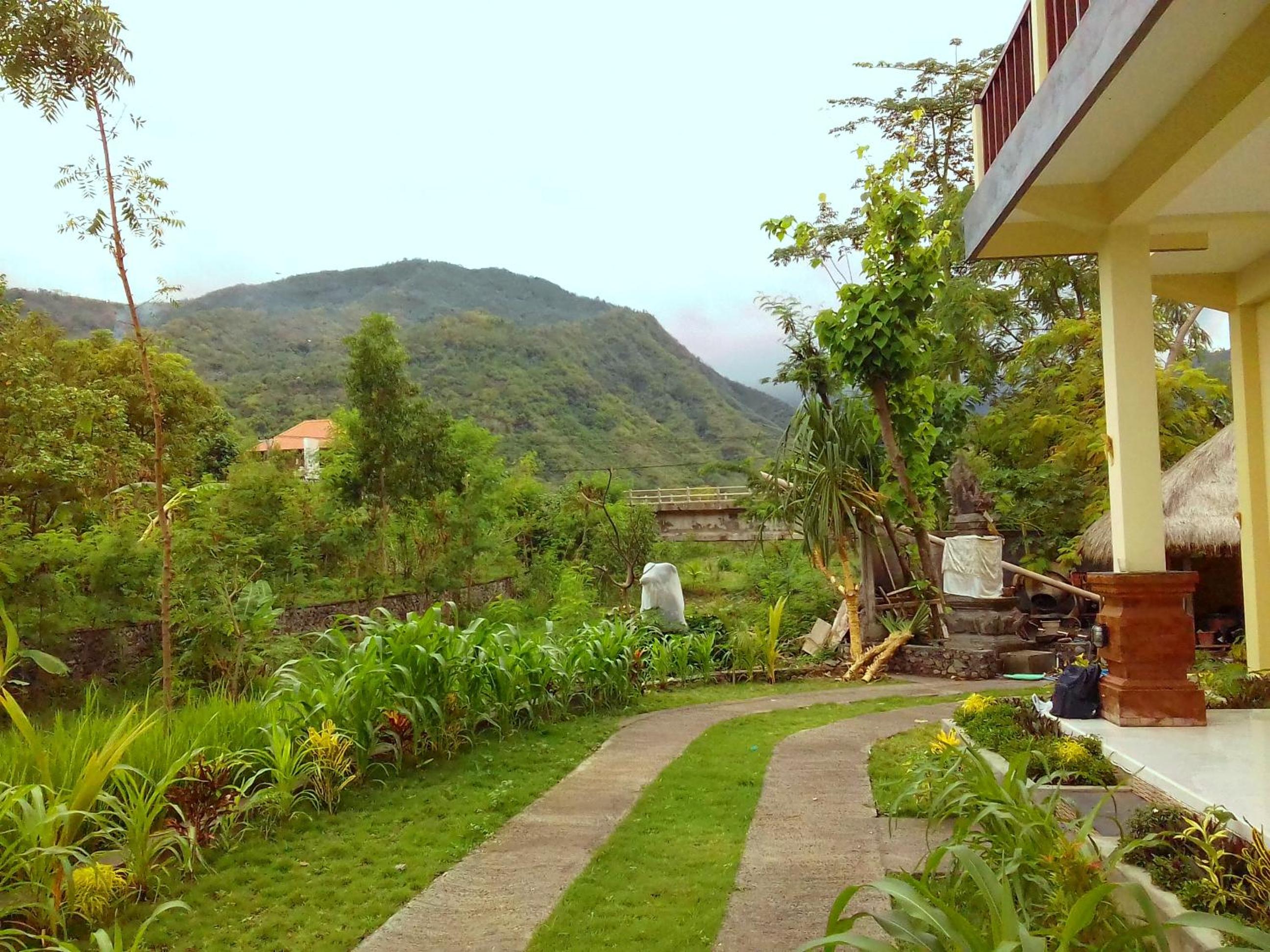 Double Room with Garden View photo 2