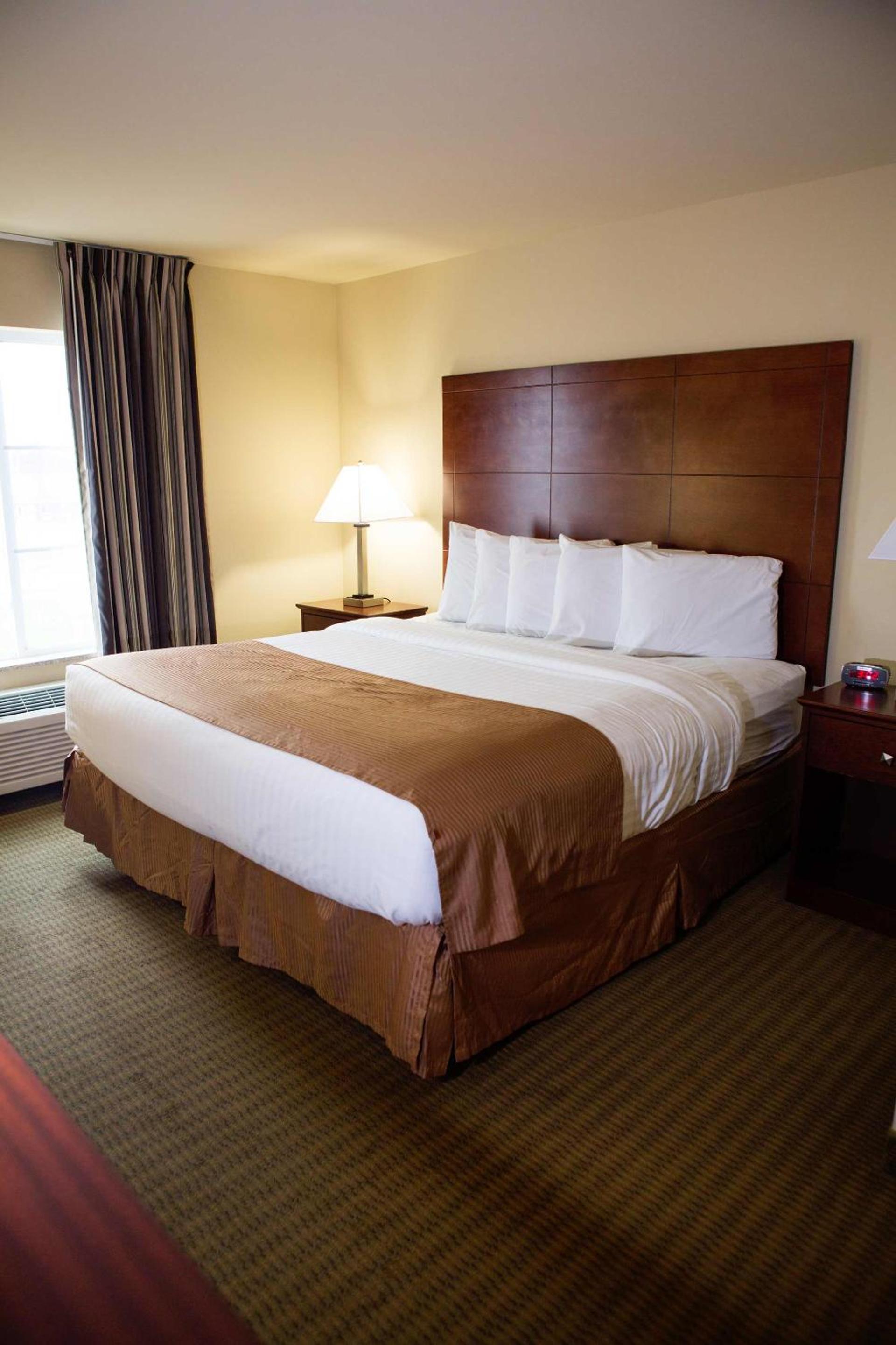 King Room photo 2