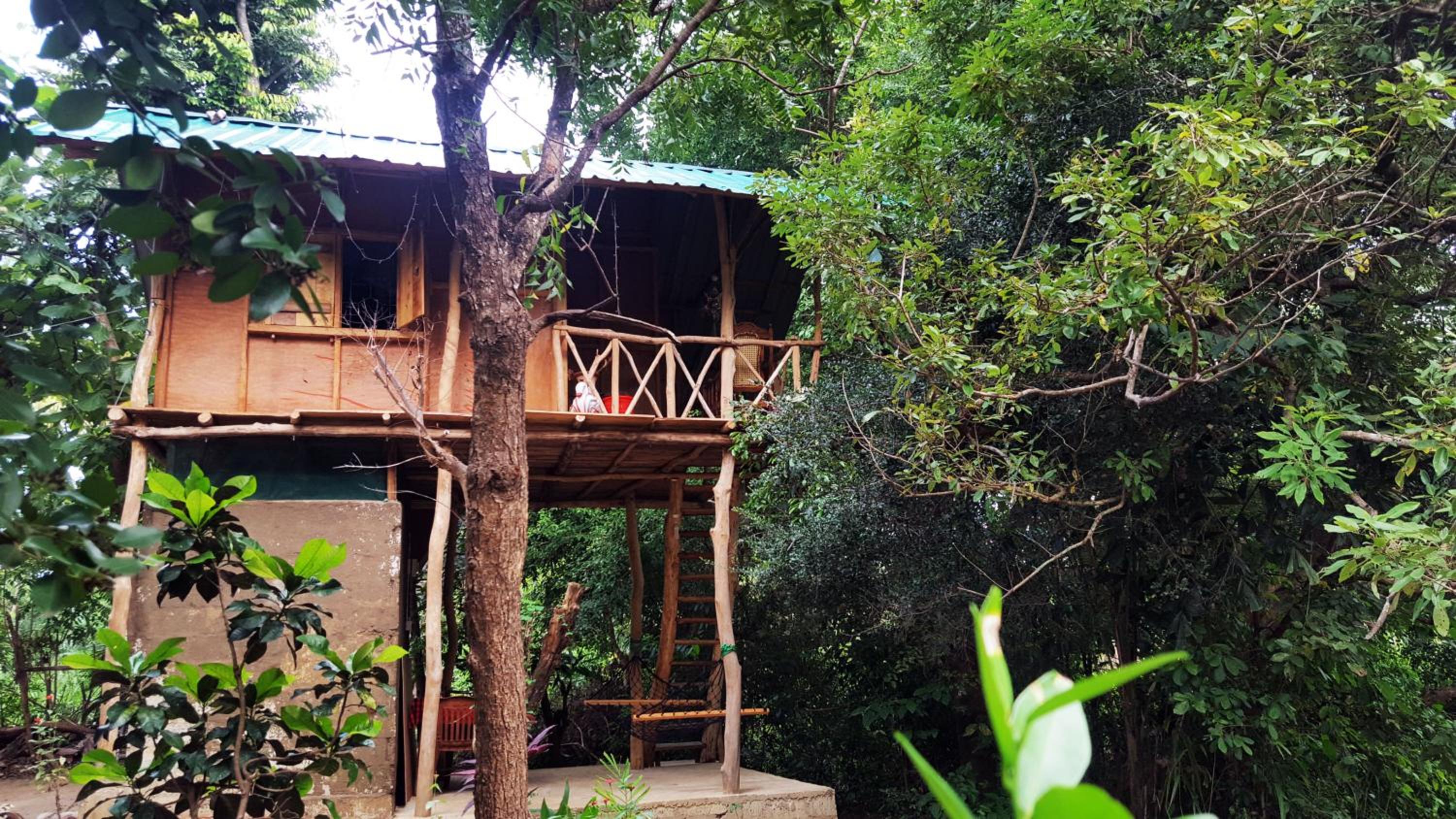 Tree House with River View photo 1