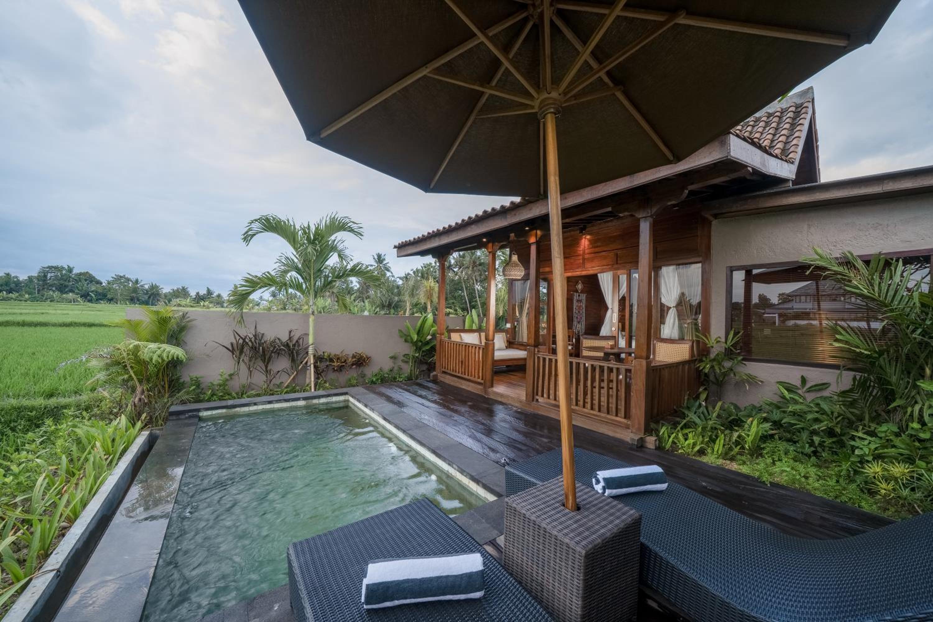 Paddies View Wooden Pool Villa with Free Shuttle to Ubud - Photo 5