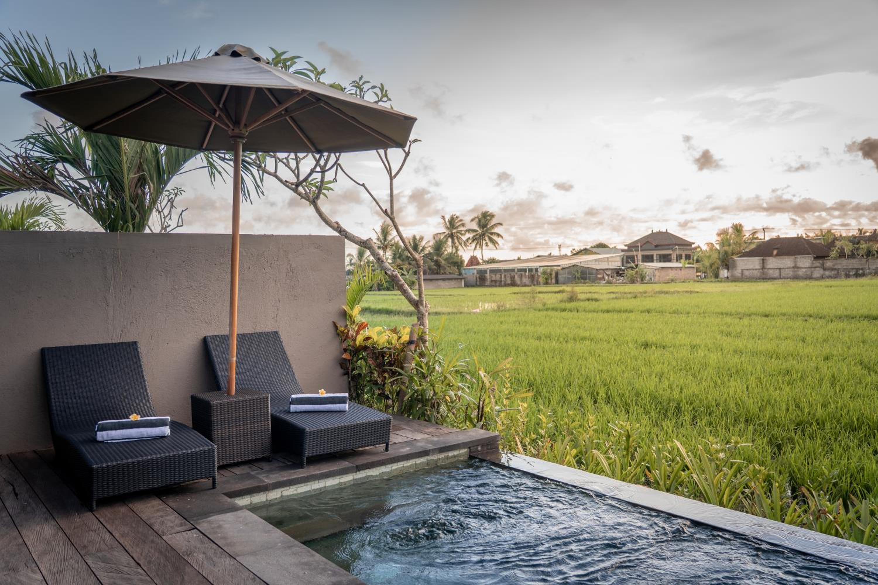 Paddies View Wooden Pool Villa with Free Shuttle to Ubud - Photo 6