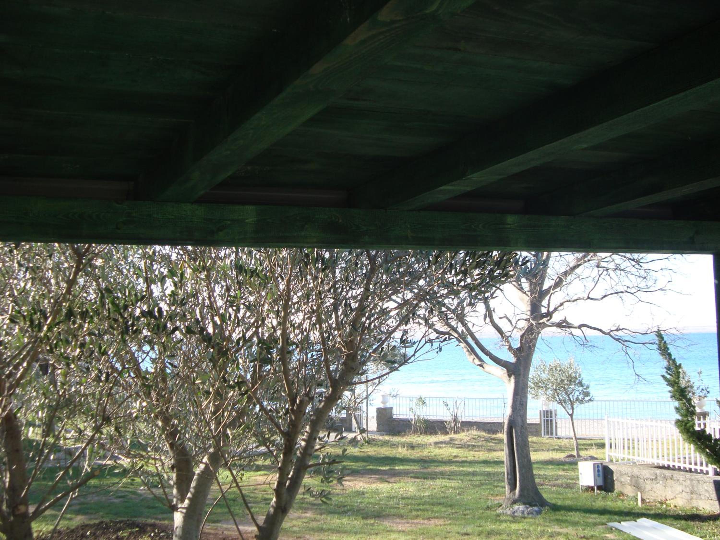 Mobile Home photo 2