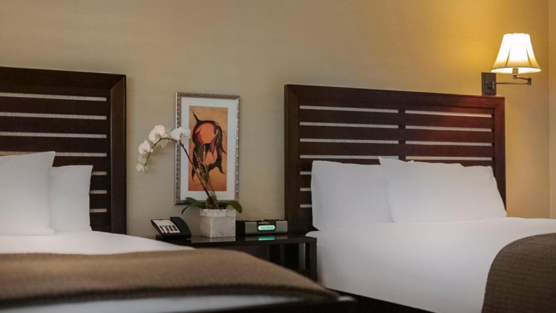 Special Offer - Queen Room photo 2