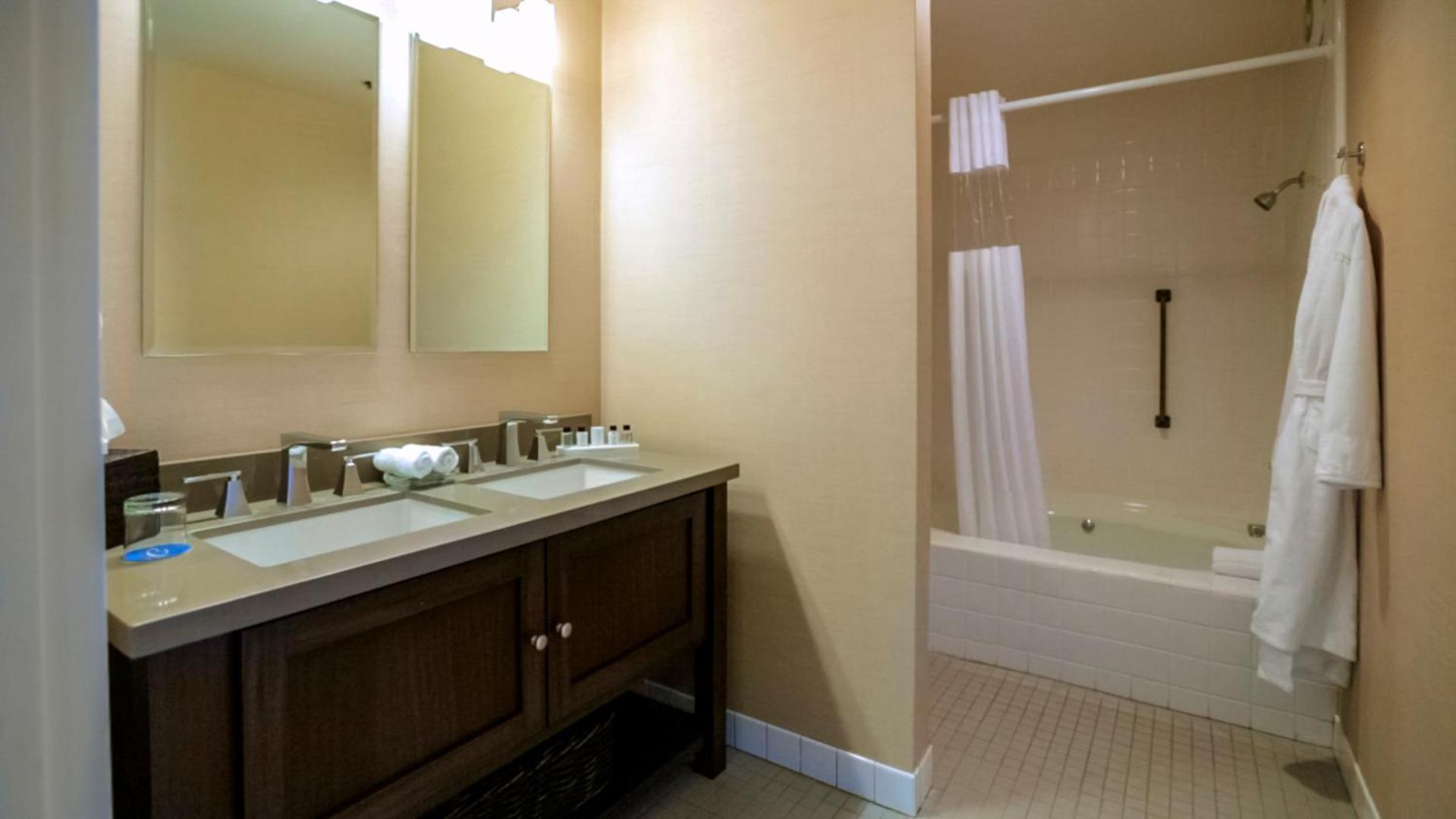 Deluxe Suite photo 3