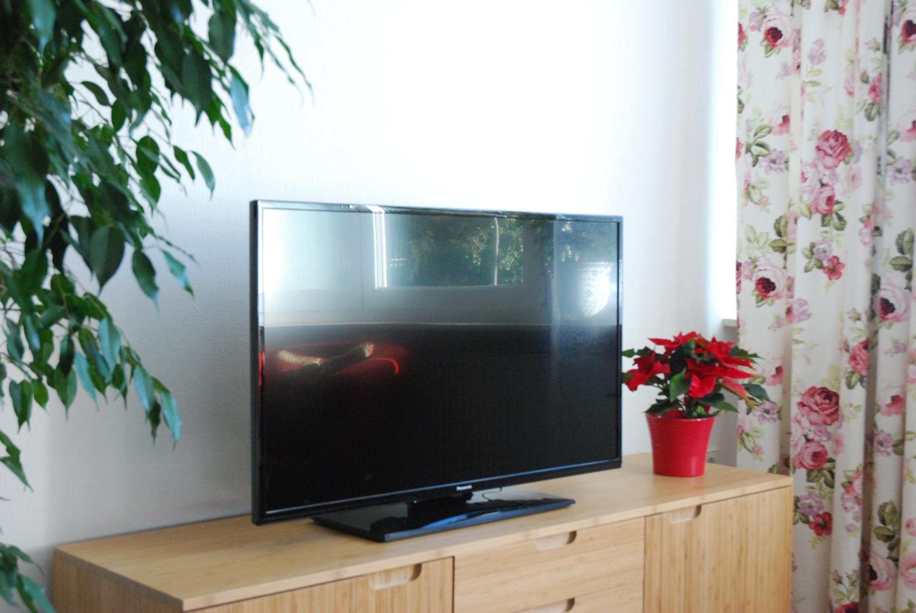 Apartment - Photo 12