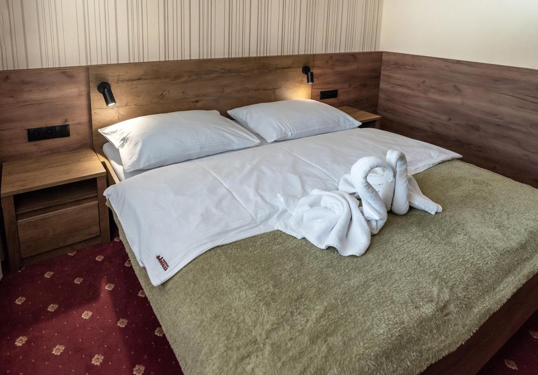 Double or Twin Room - Photo 9