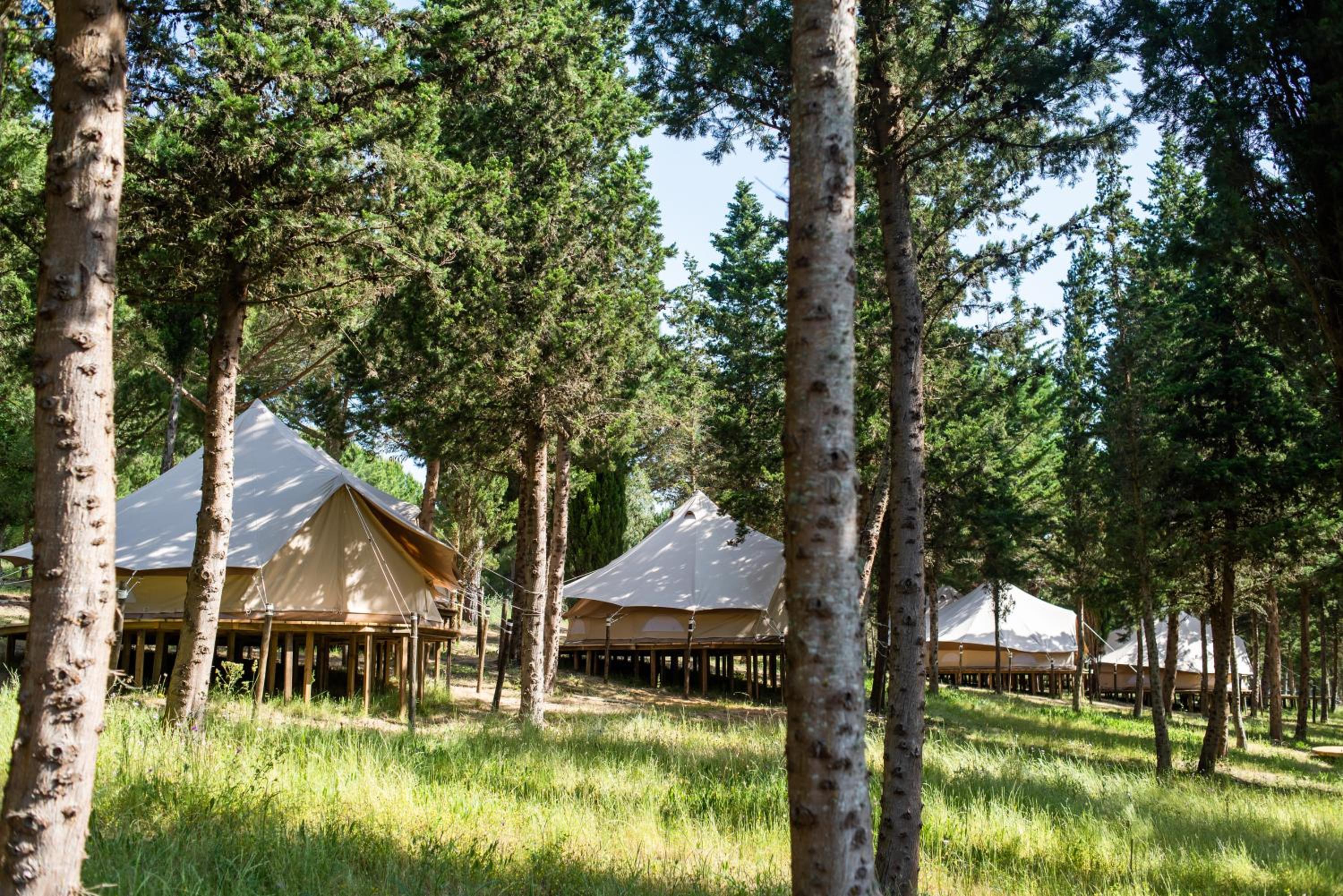 Tent - Photo 2