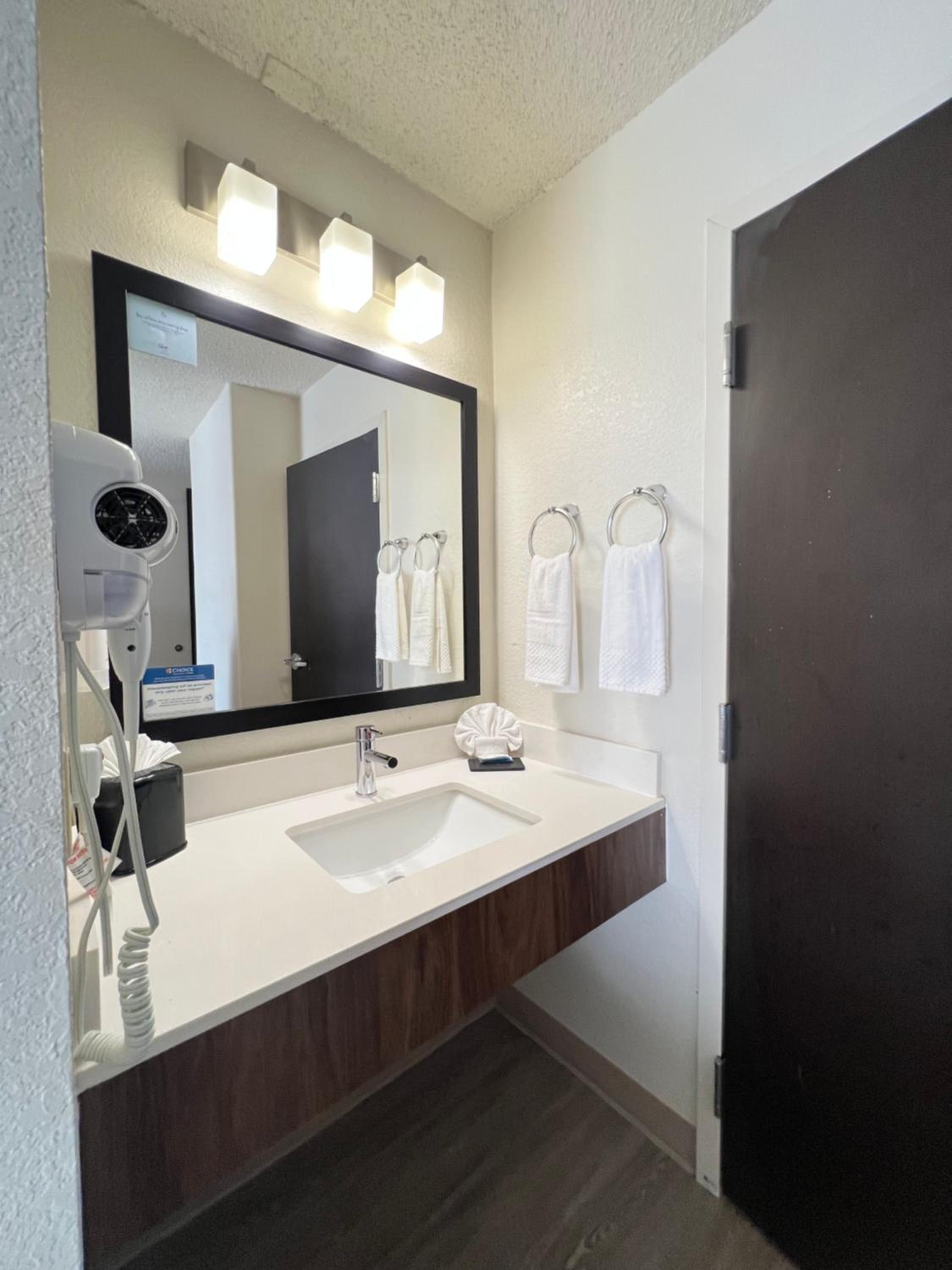 Queen Room with Roll-in-Shower - Accessible/Non-Smoking - Photo 4