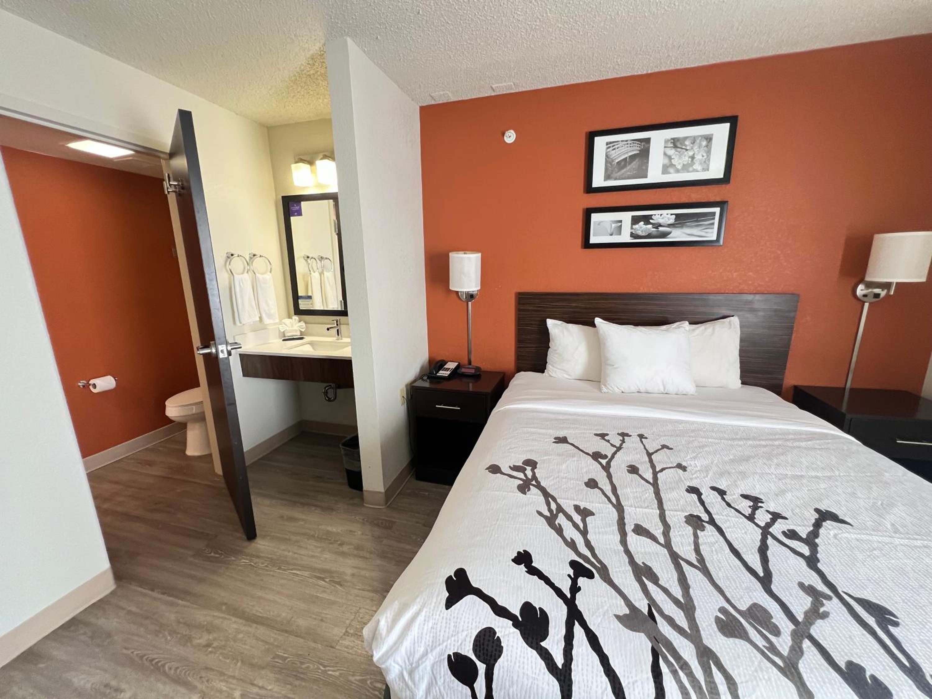 Queen Room with Roll-in-Shower - Accessible/Non-Smoking - Photo 1