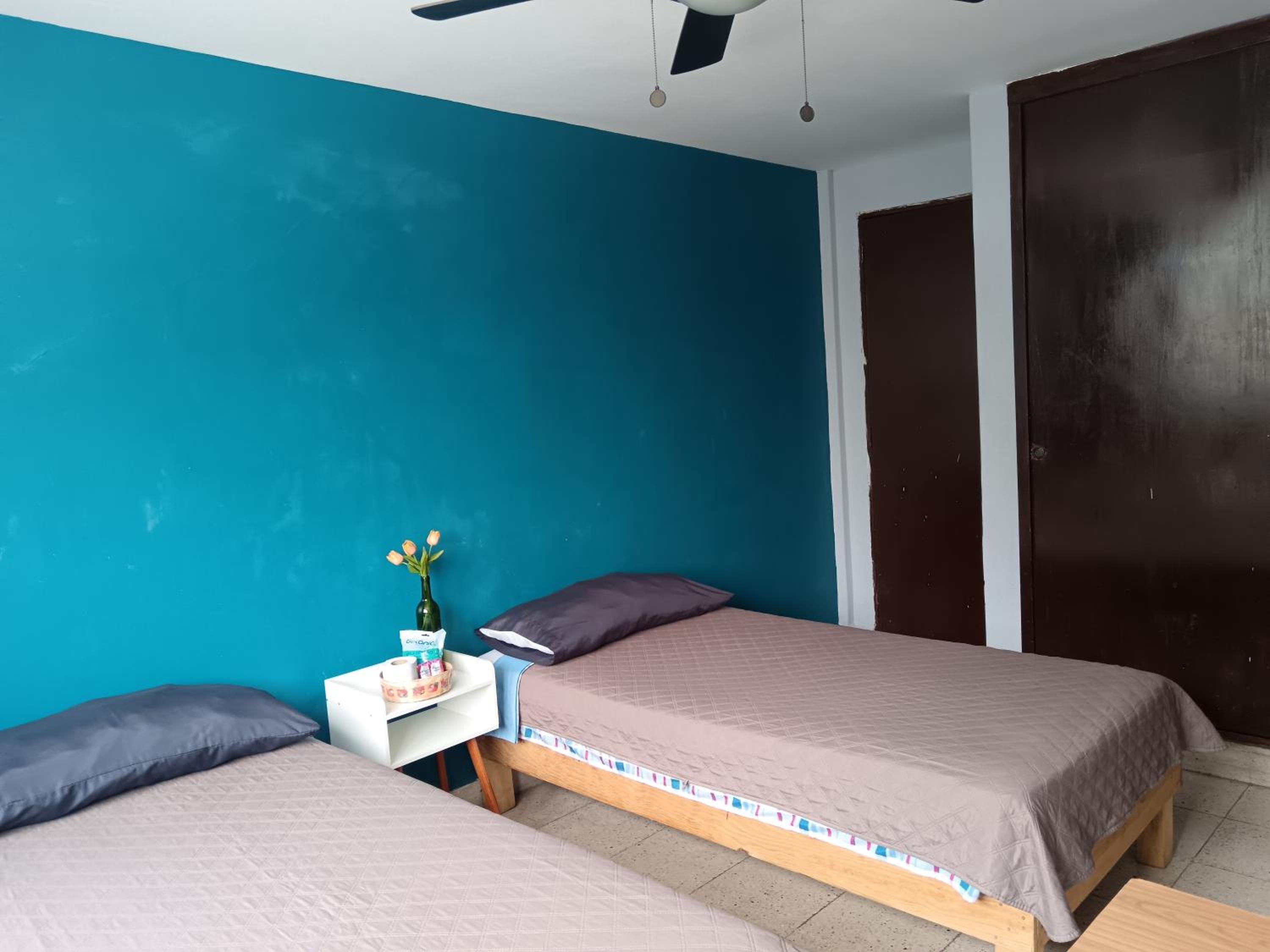 Twin Room photo 1