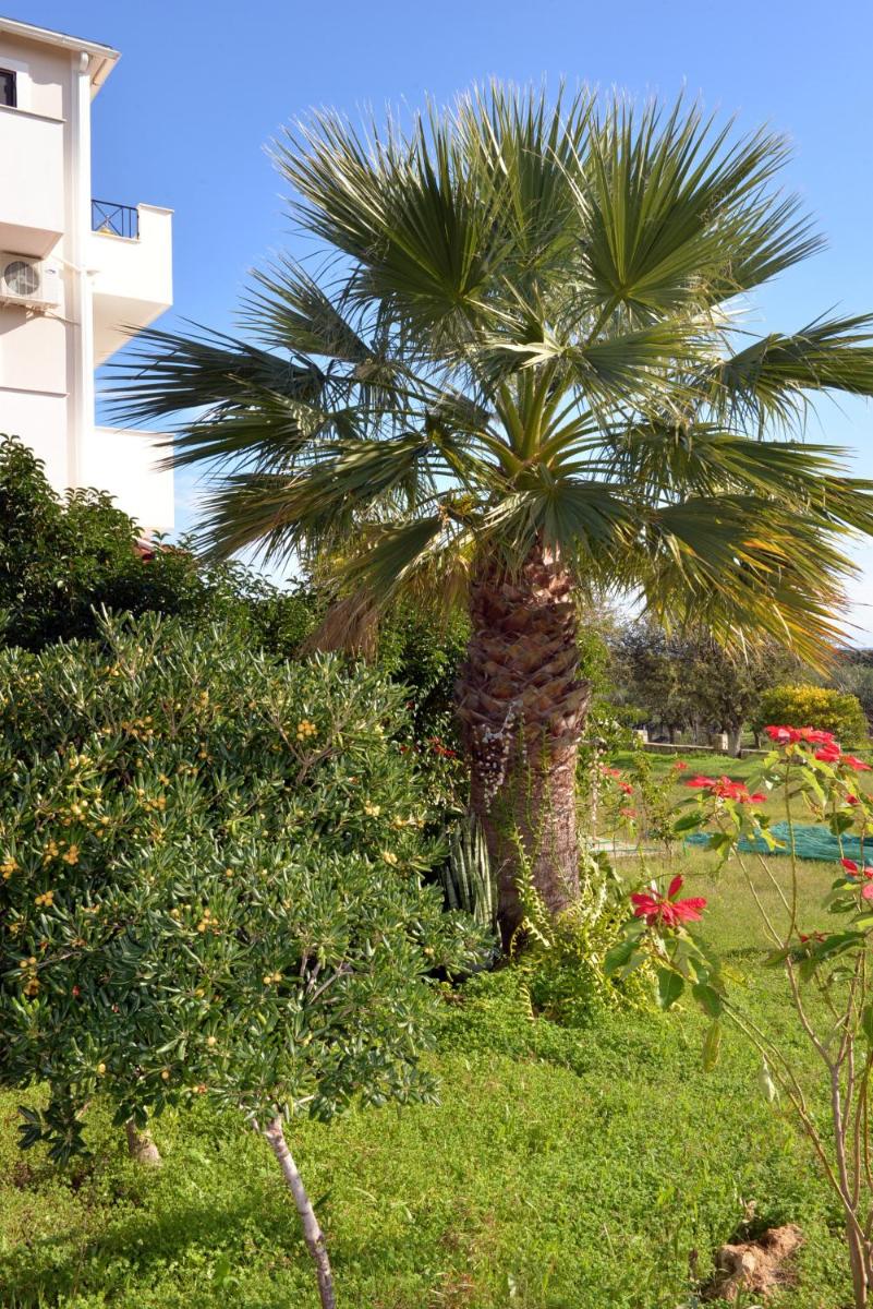 Two-Bedroom Apartment with Terrace