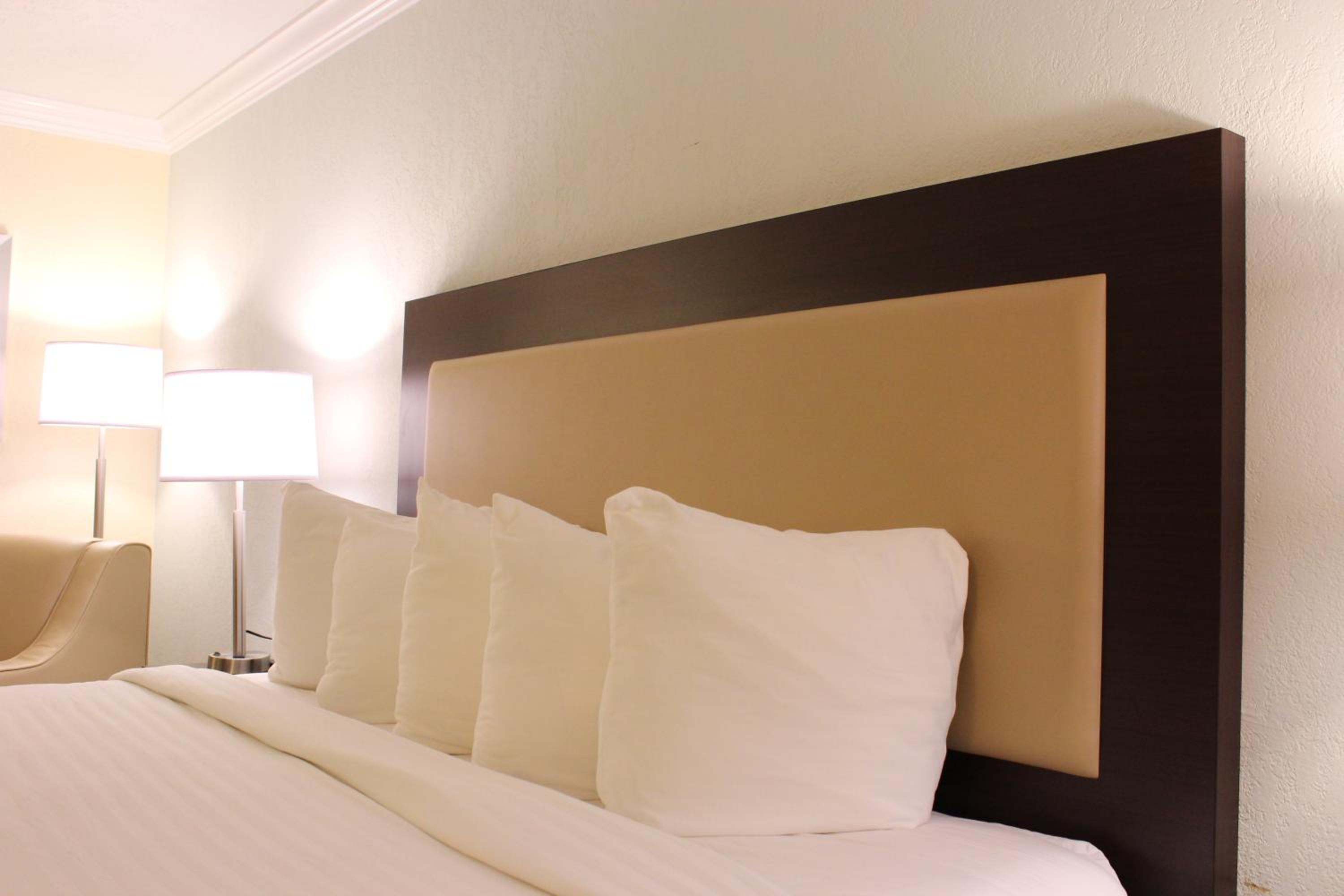 Premium King Room - Photo 3