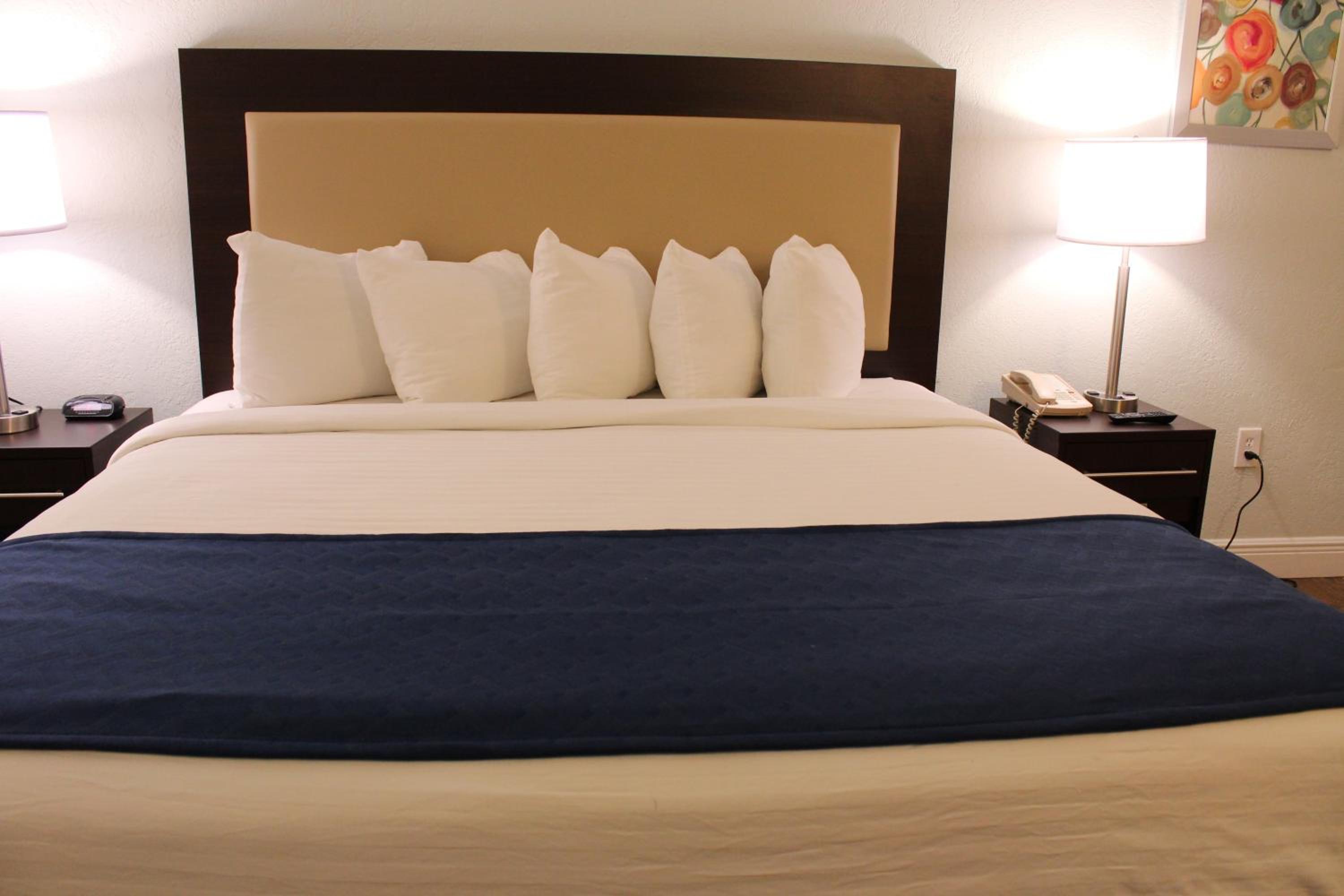 Premium King Room - Photo 6