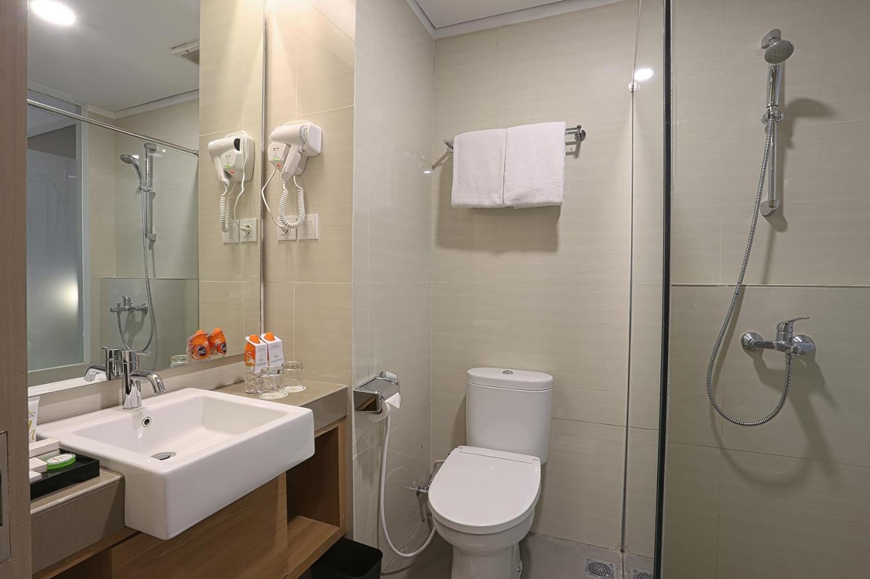 Deluxe Double Room photo 3