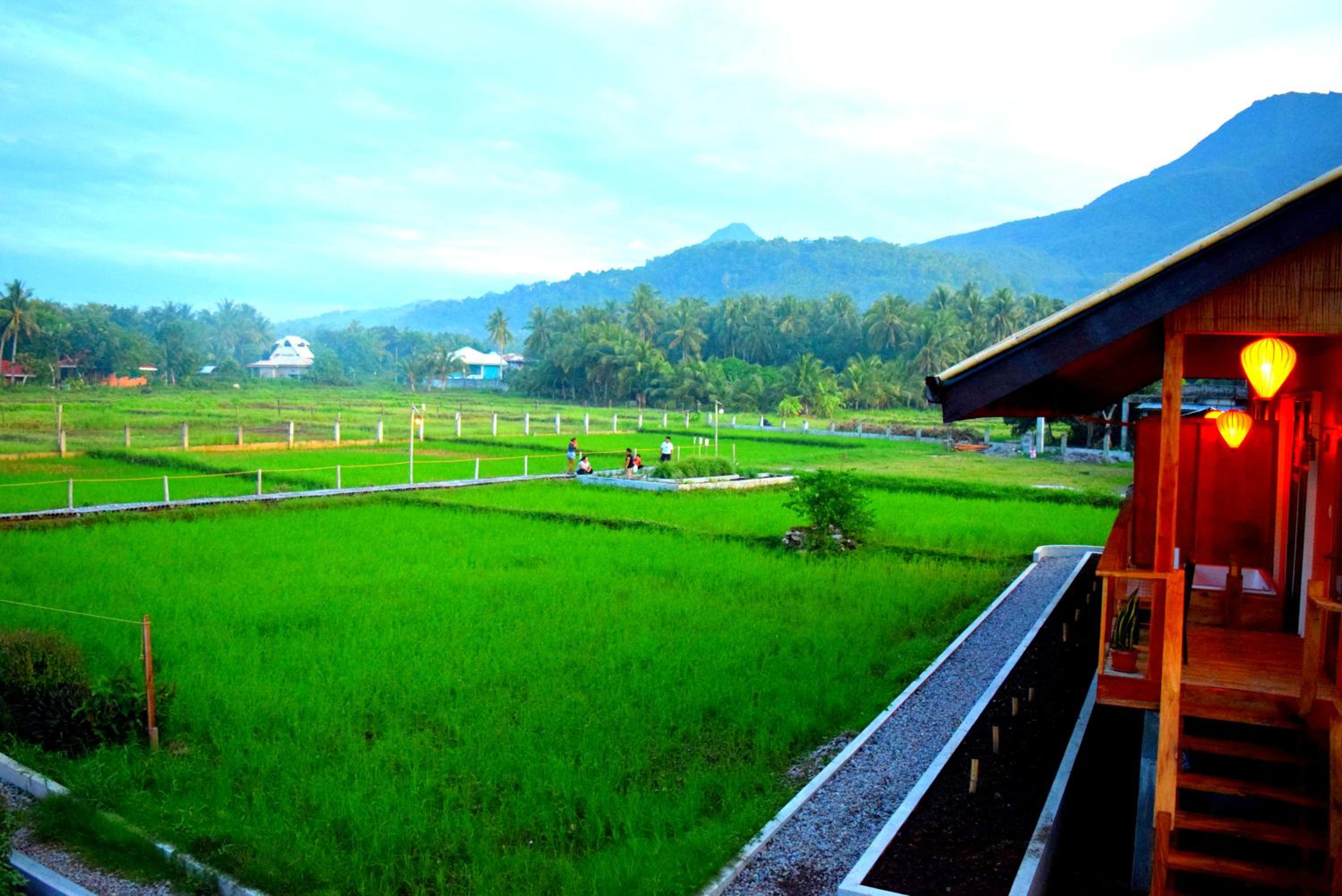 Villa - Photo 15
