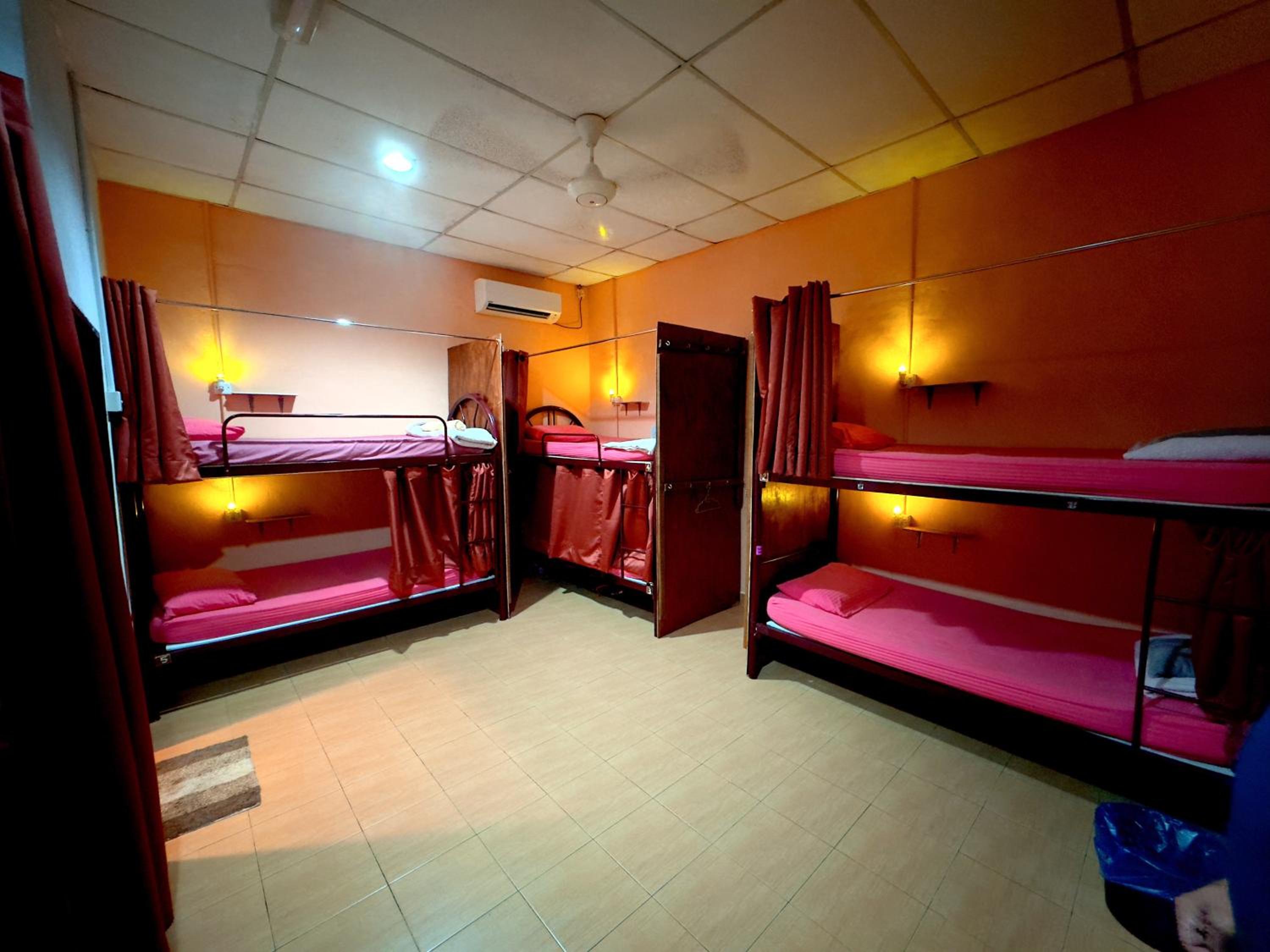 Bunk Bed in Mixed Dormitory Room photo 1
