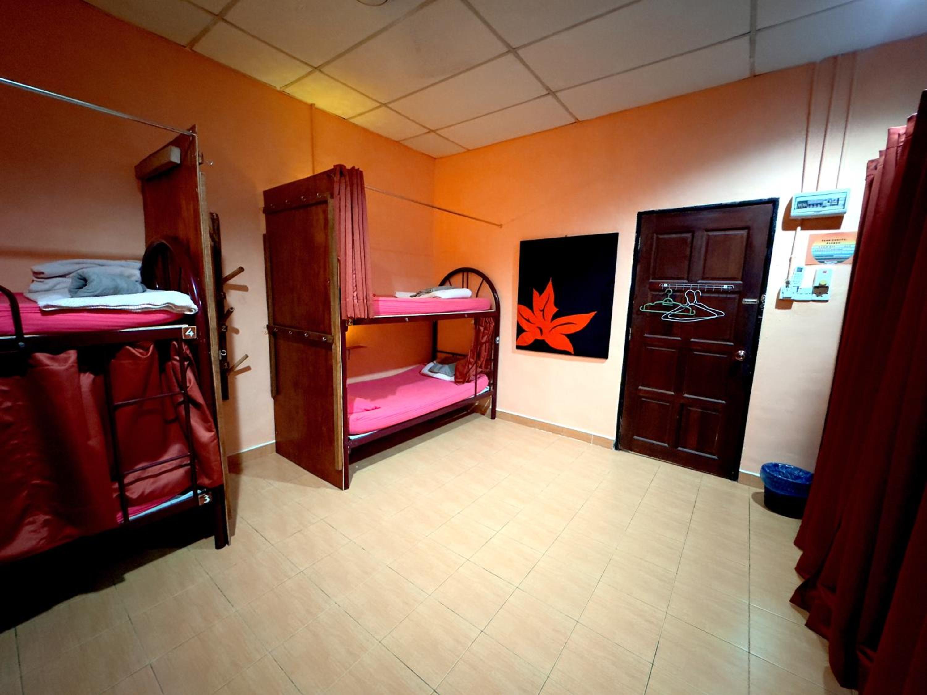 Bunk Bed in Mixed Dormitory Room photo 2