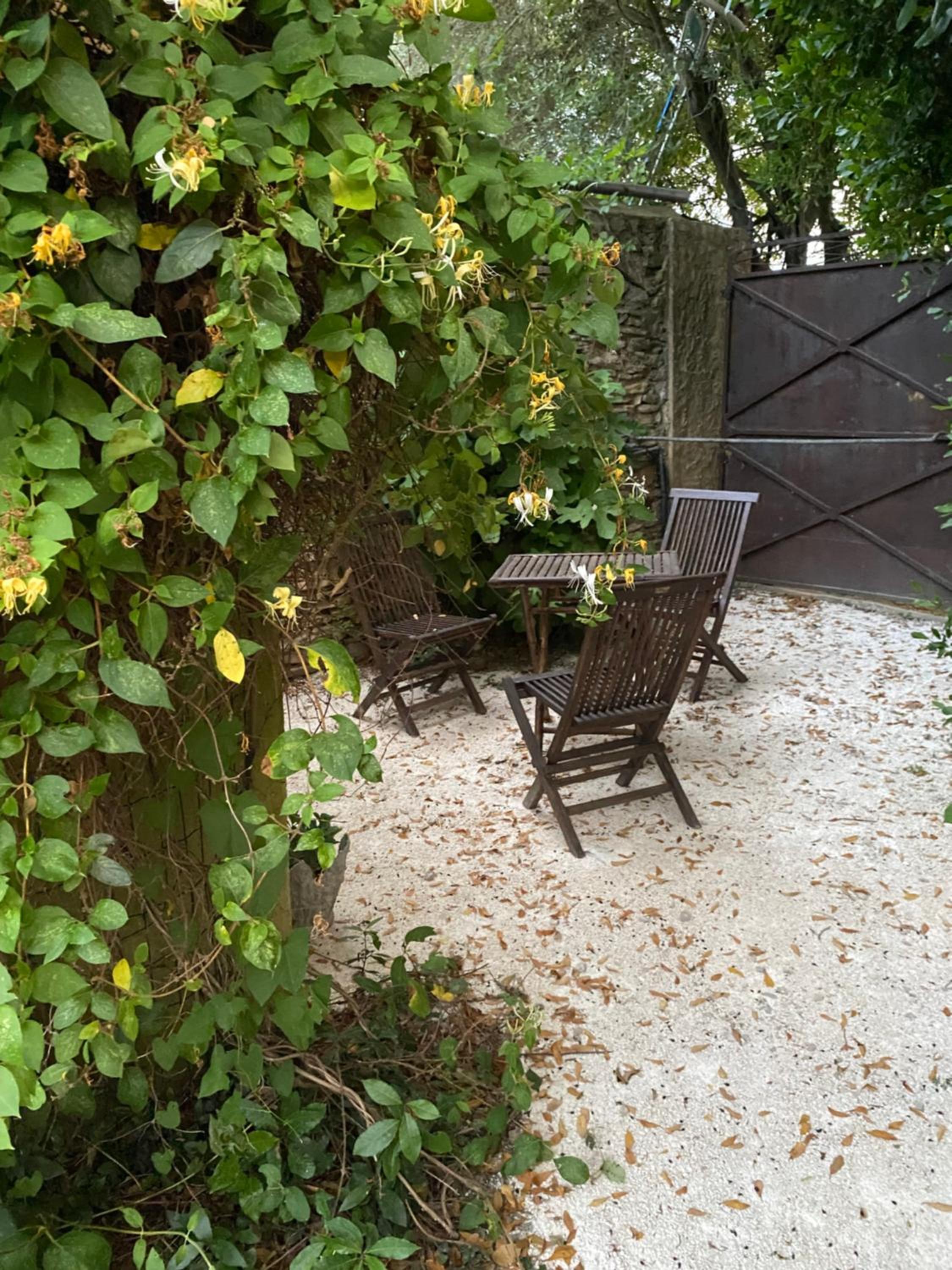 Single Room with Garden View photo 1