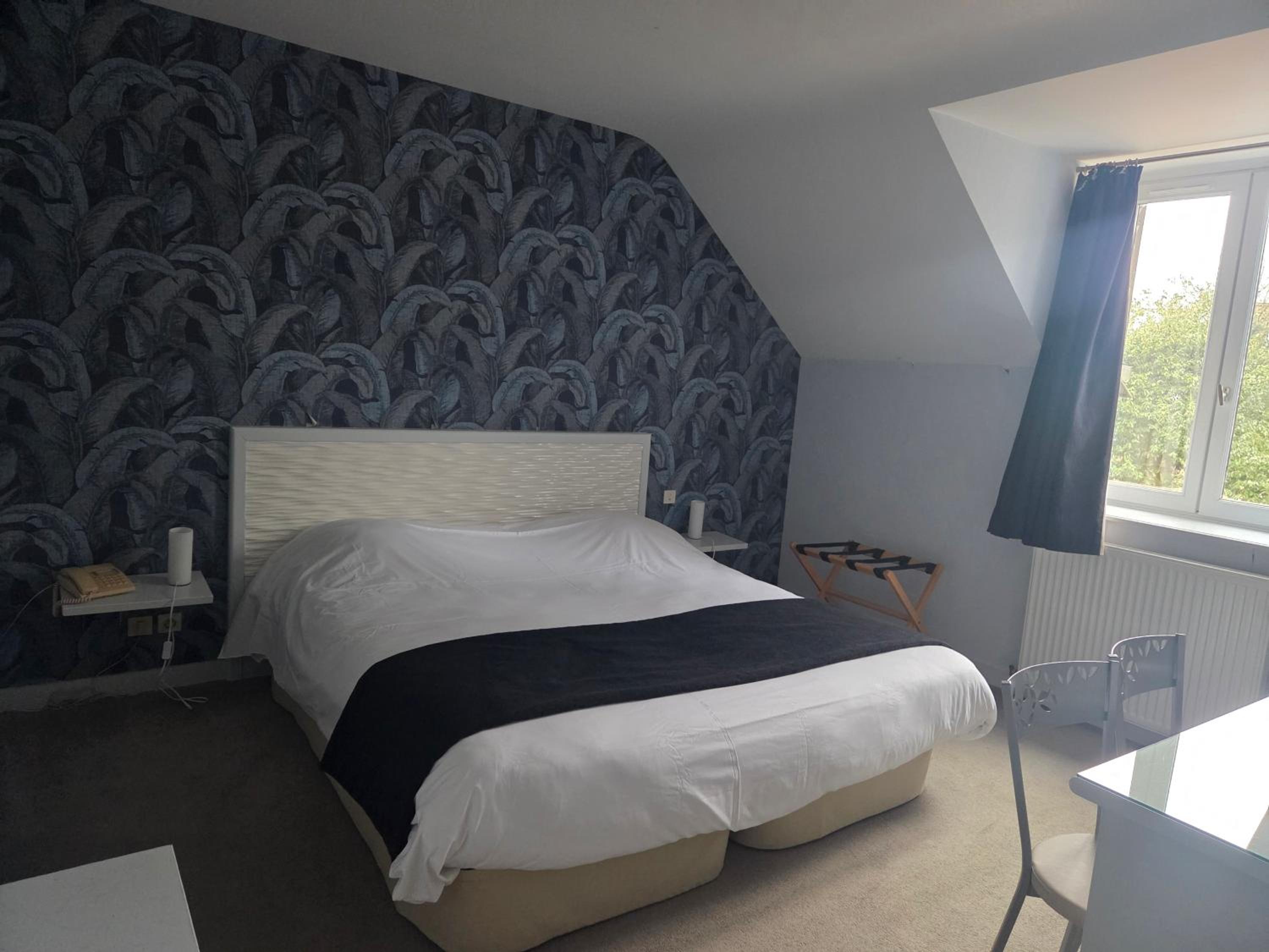 Single Room photo 2