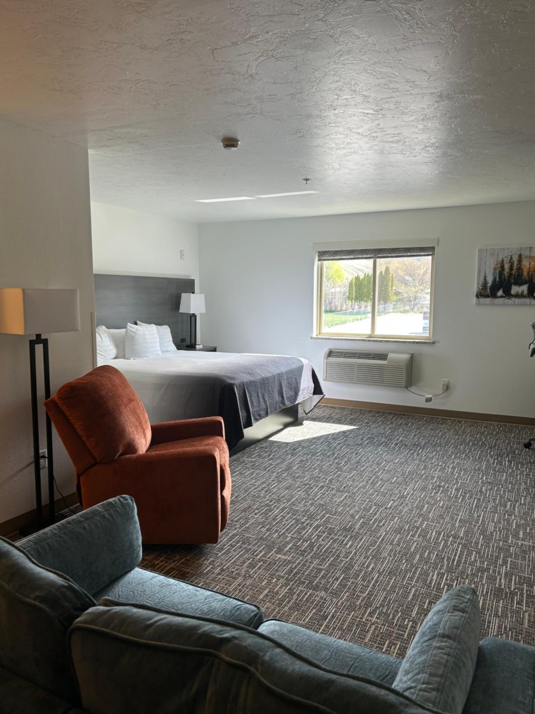 Deluxe King Suite - Photo 1