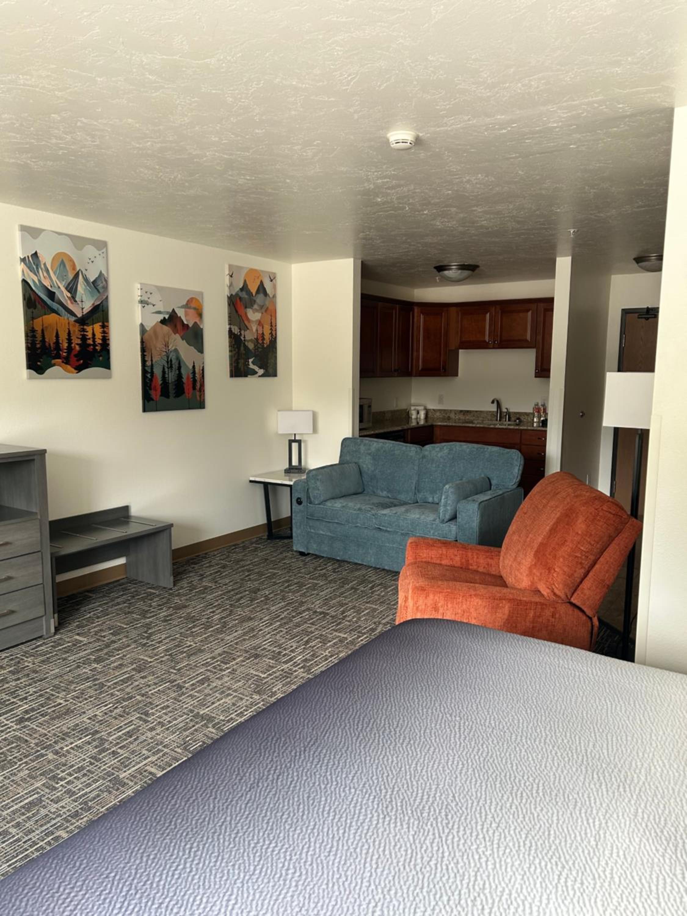 Deluxe King Suite - Photo 4