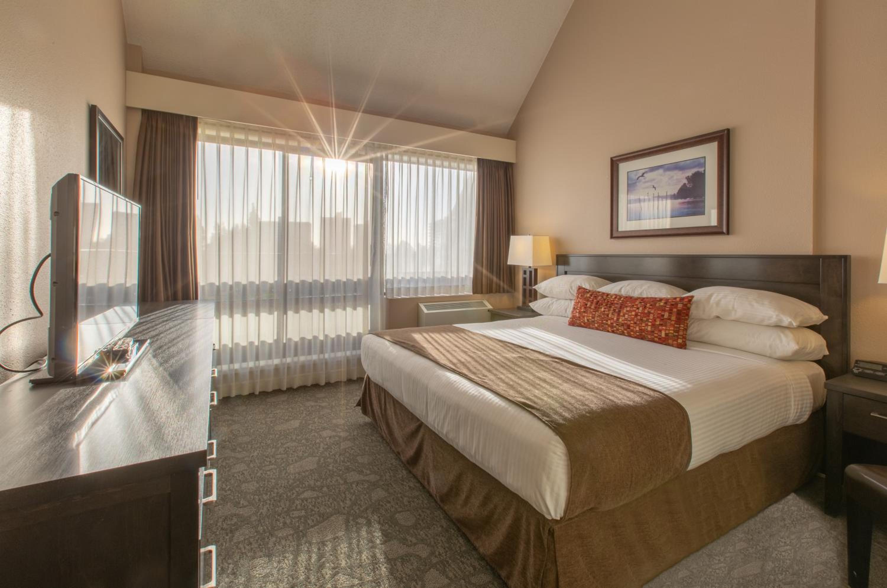 Queen Suite