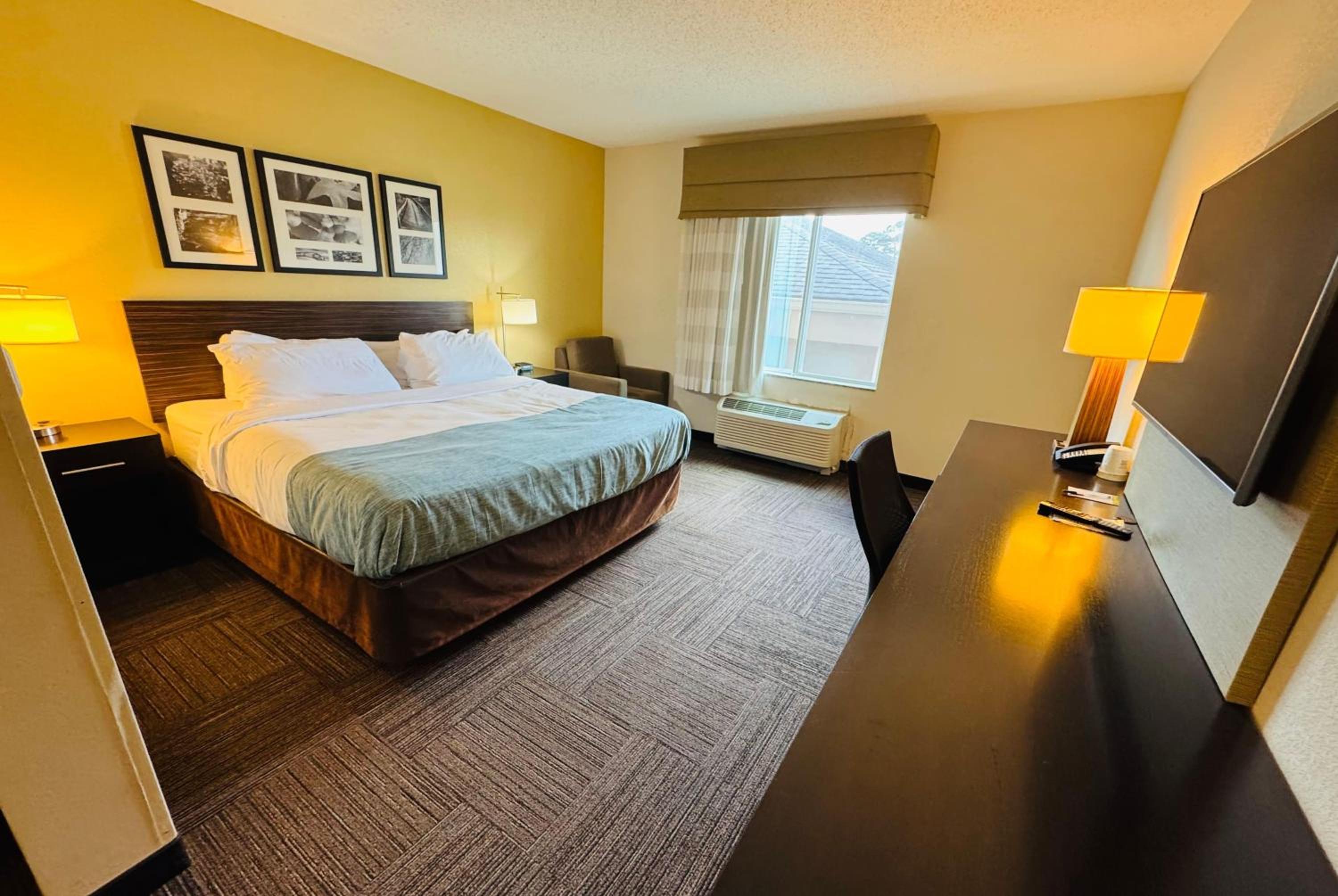 King Room with Mobility/Hearing Access and Roll-In Shower, Non-Smoking - Photo 2