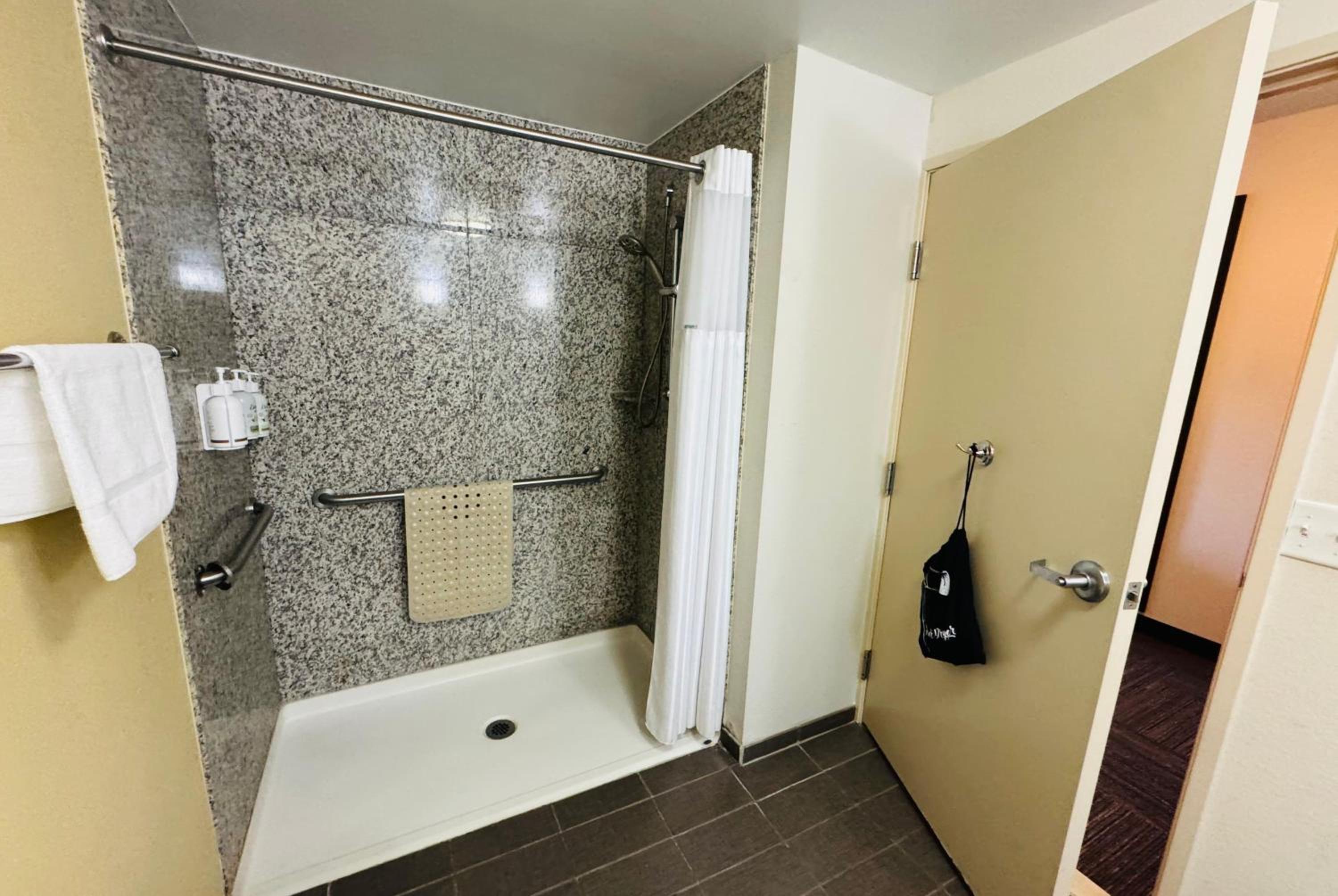 King Room with Mobility/Hearing Access and Roll-In Shower, Non-Smoking - Photo 4