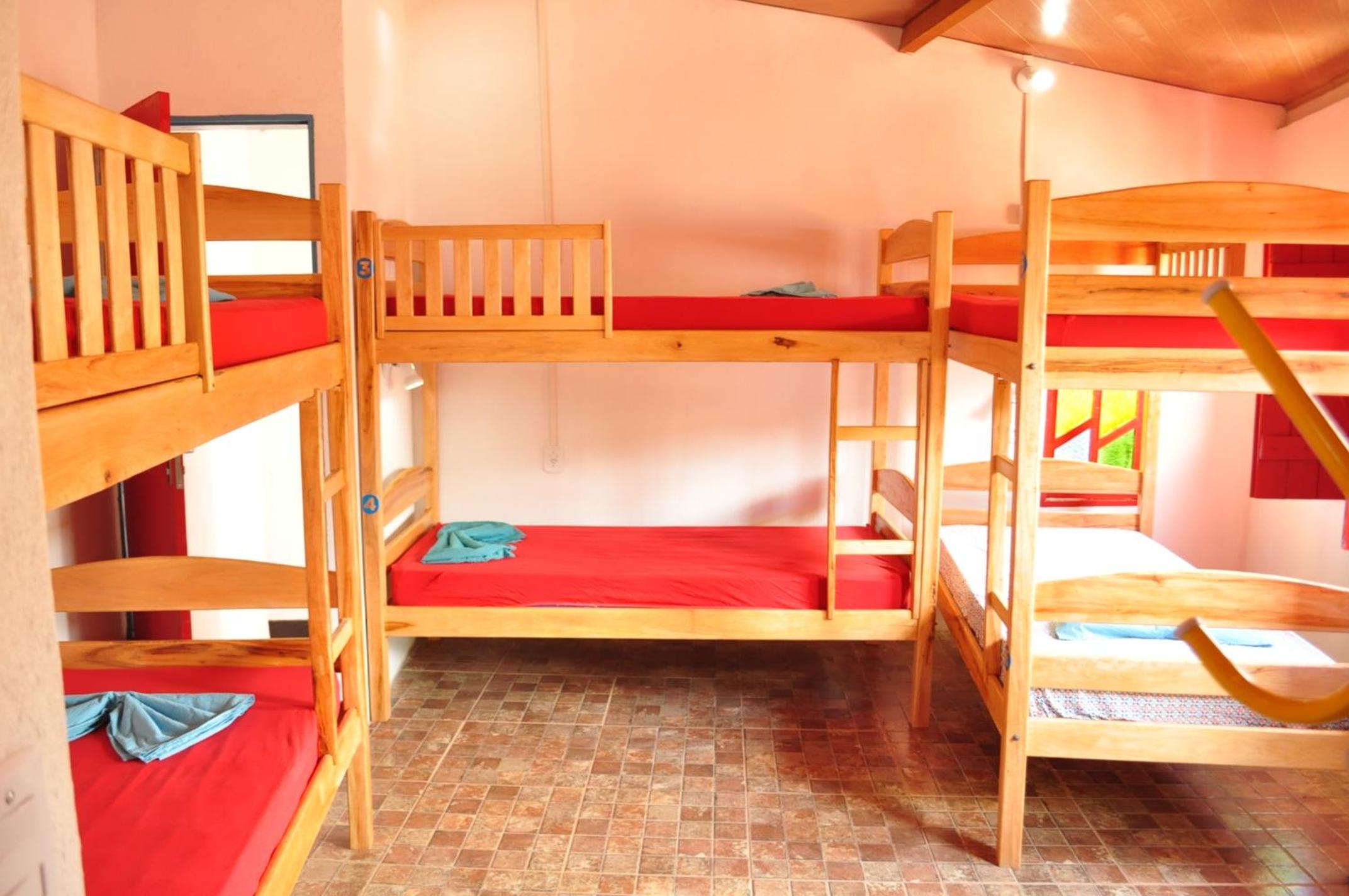 Bunk Bed In Mixed Dormitory Room photo 2