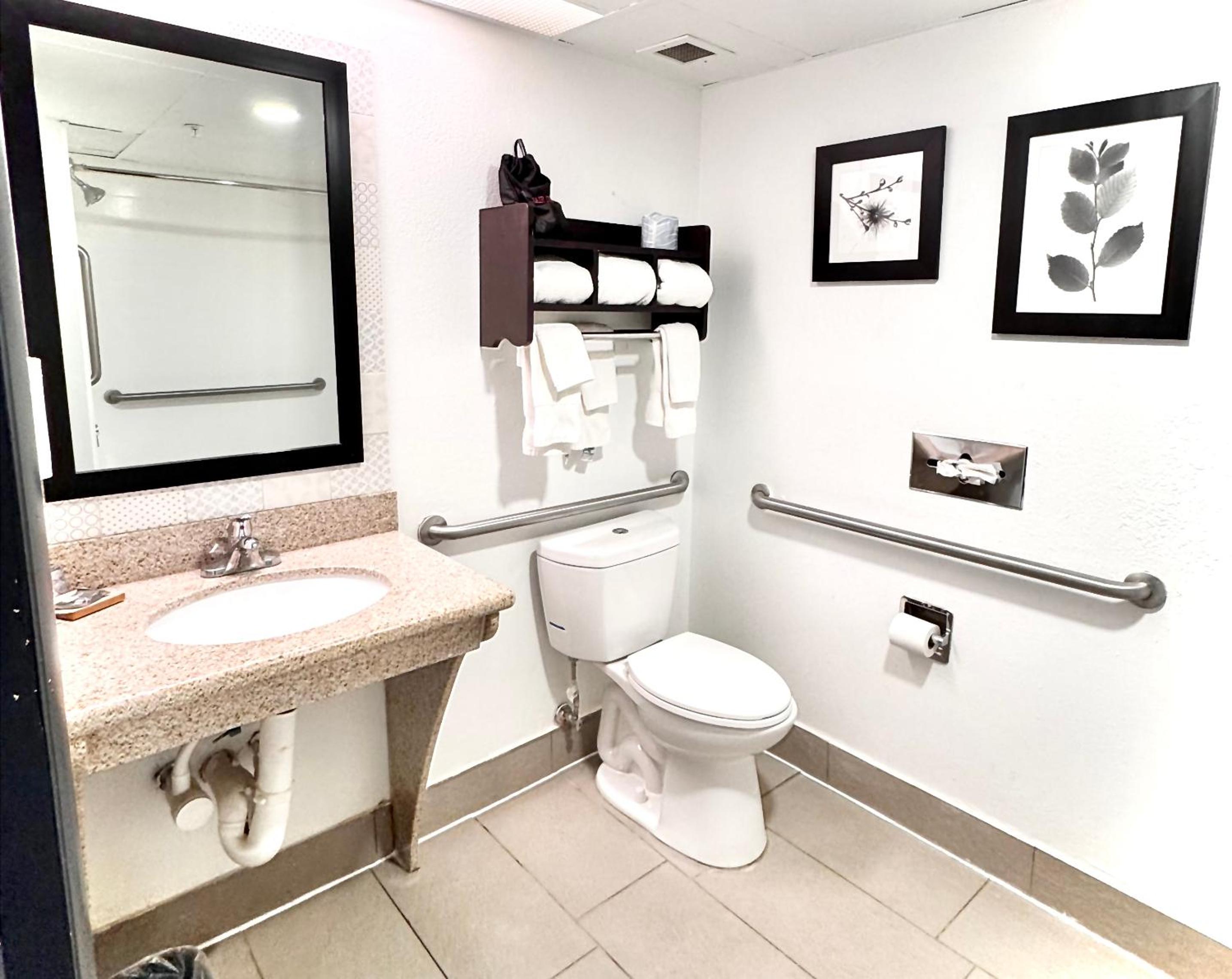 King Room with Roll-in Shower - Photo 1